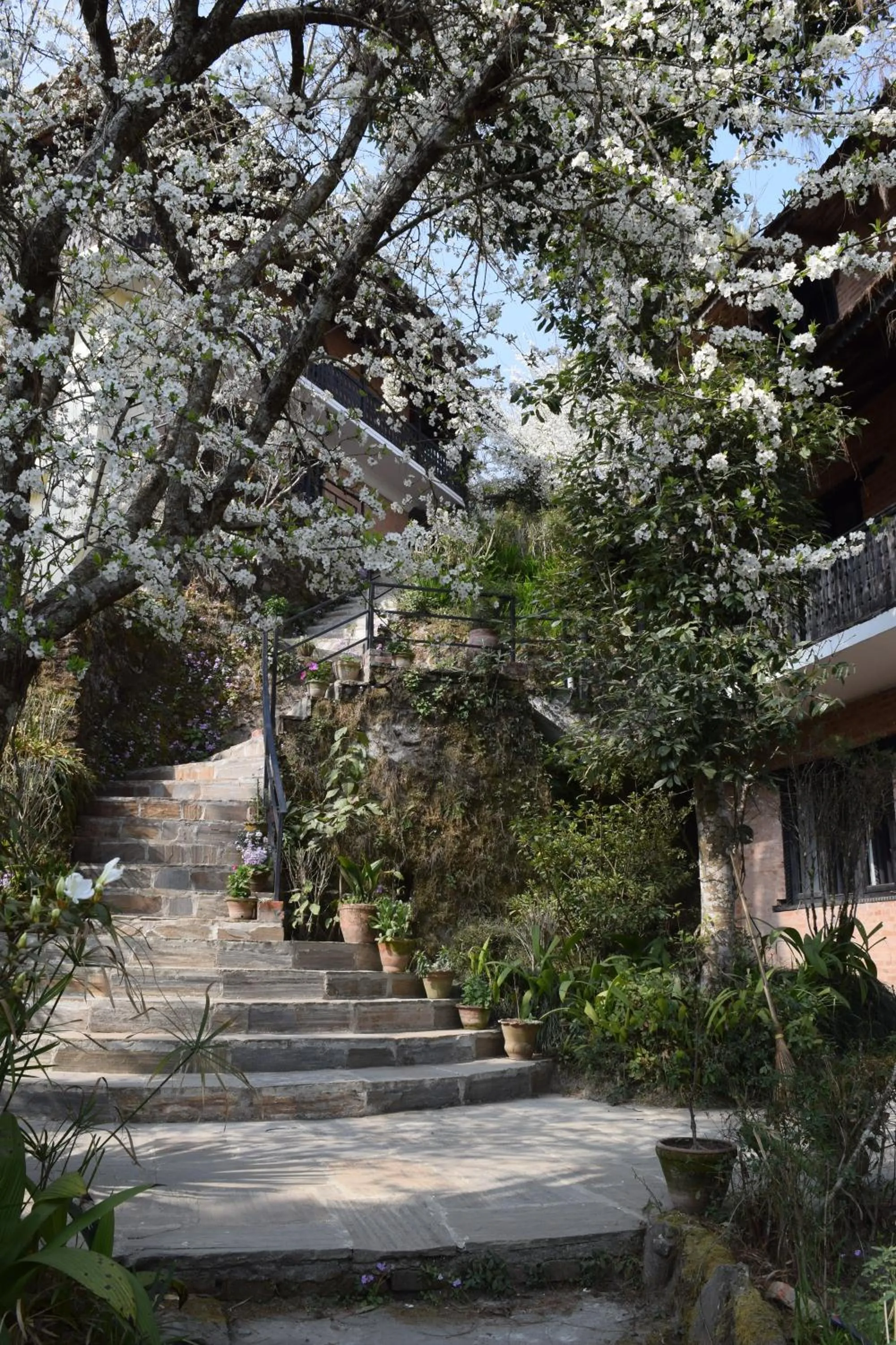 Garden in The Fort Resort