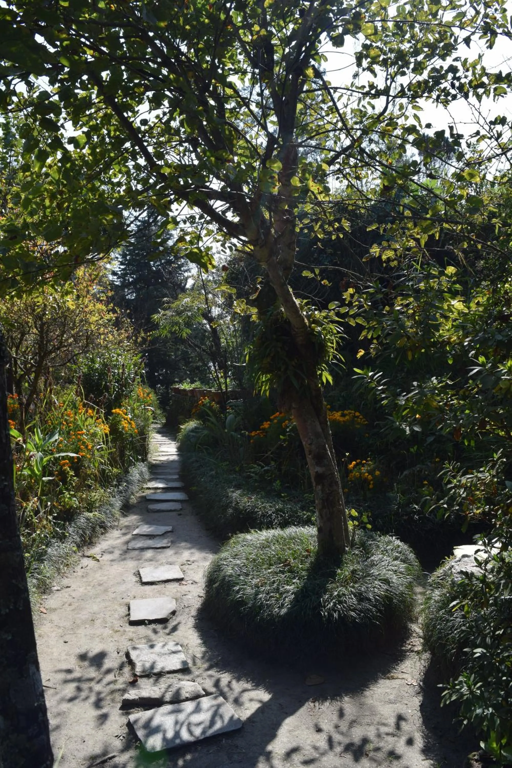 Garden in The Fort Resort