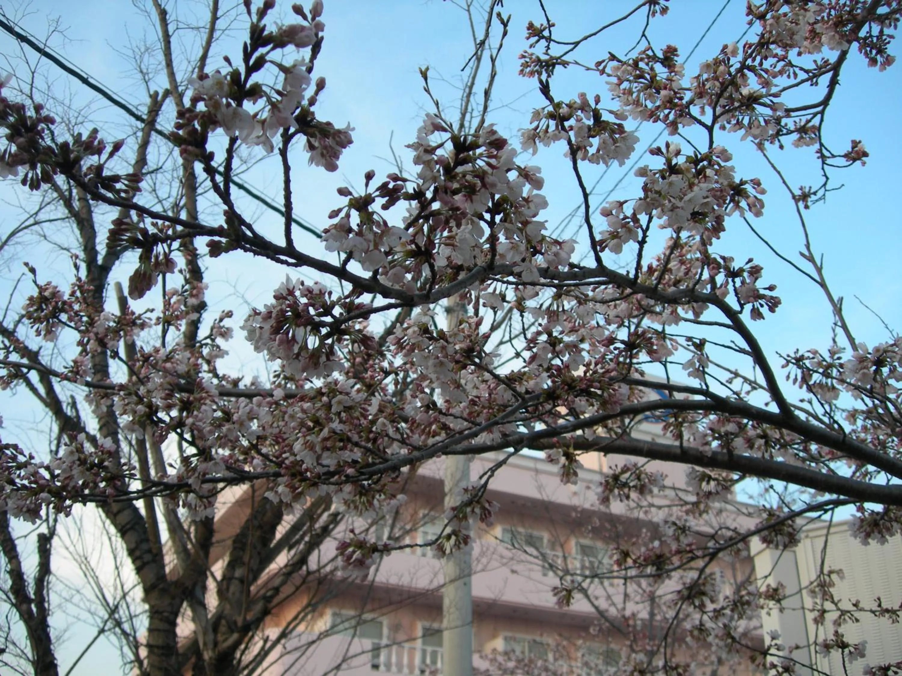 Property building in Hotel Hyper Noah (Adult Only)