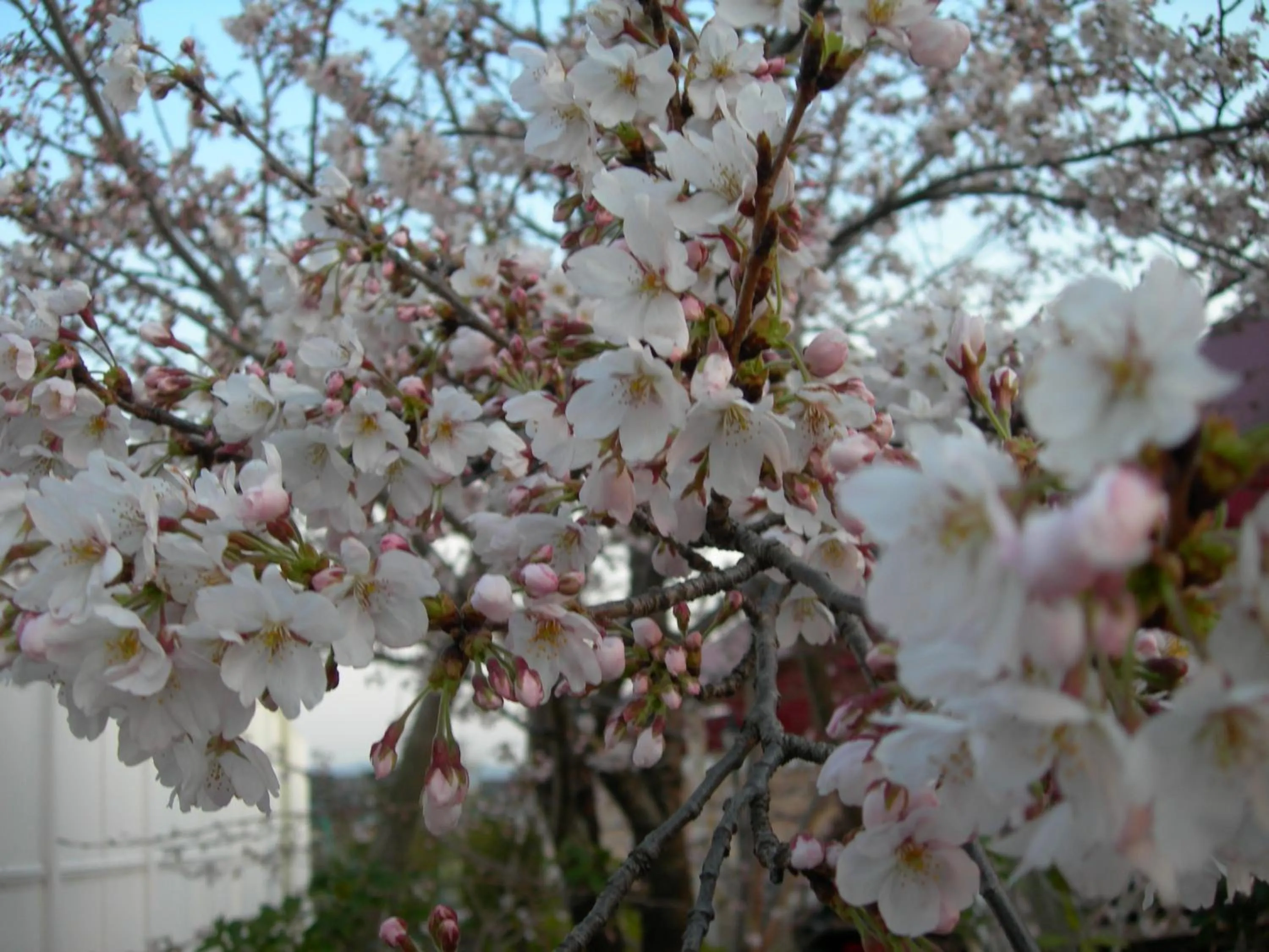 Property building in Hotel Hyper Noah (Adult Only)