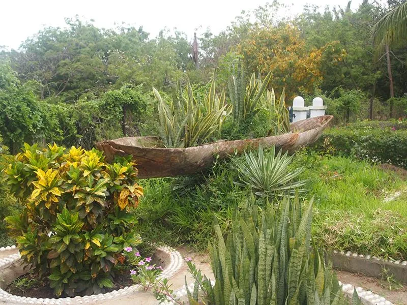 Garden in The Old Boma Hotel