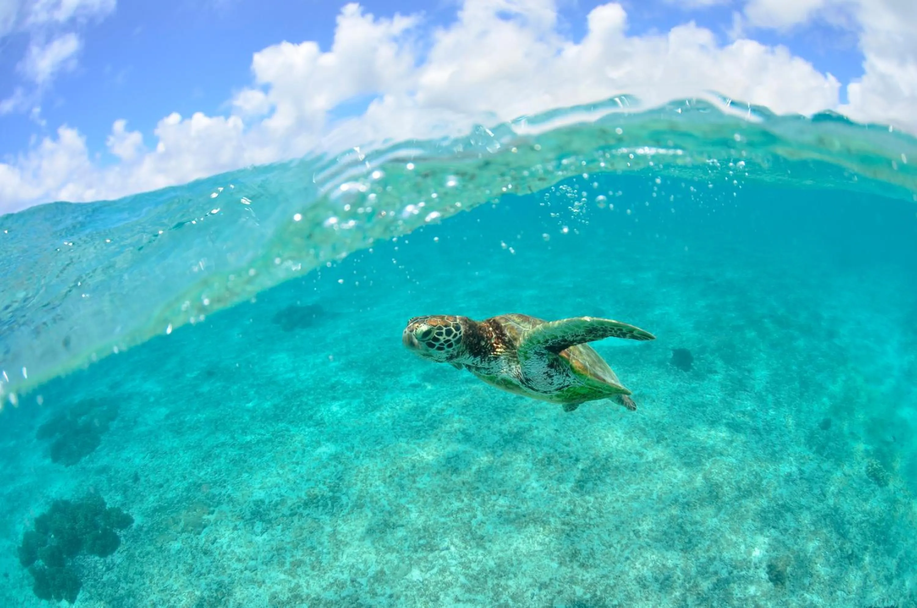 Beach in Allamanda Imgya Coral Village