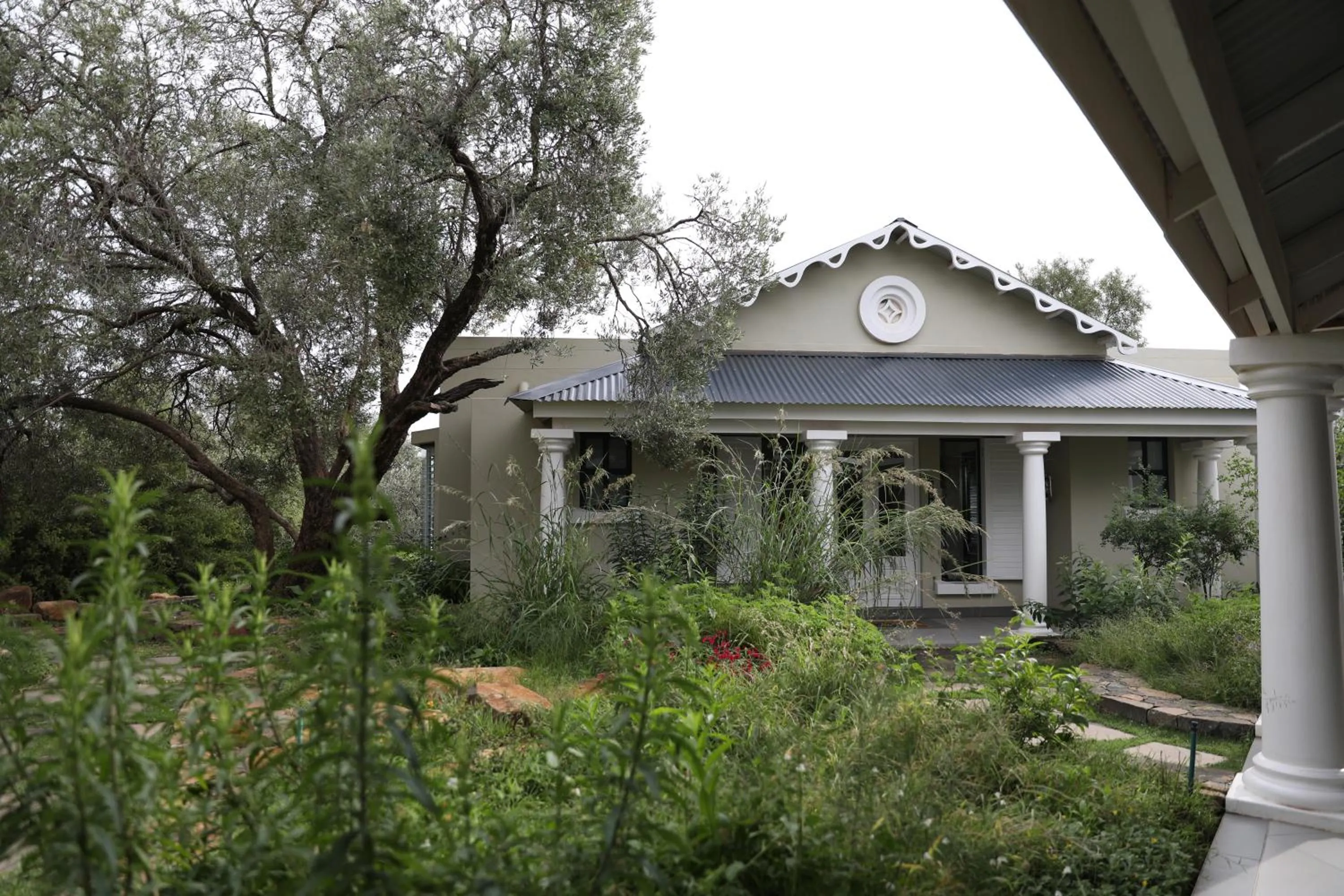 Garden in The Royal Fischer Hotel