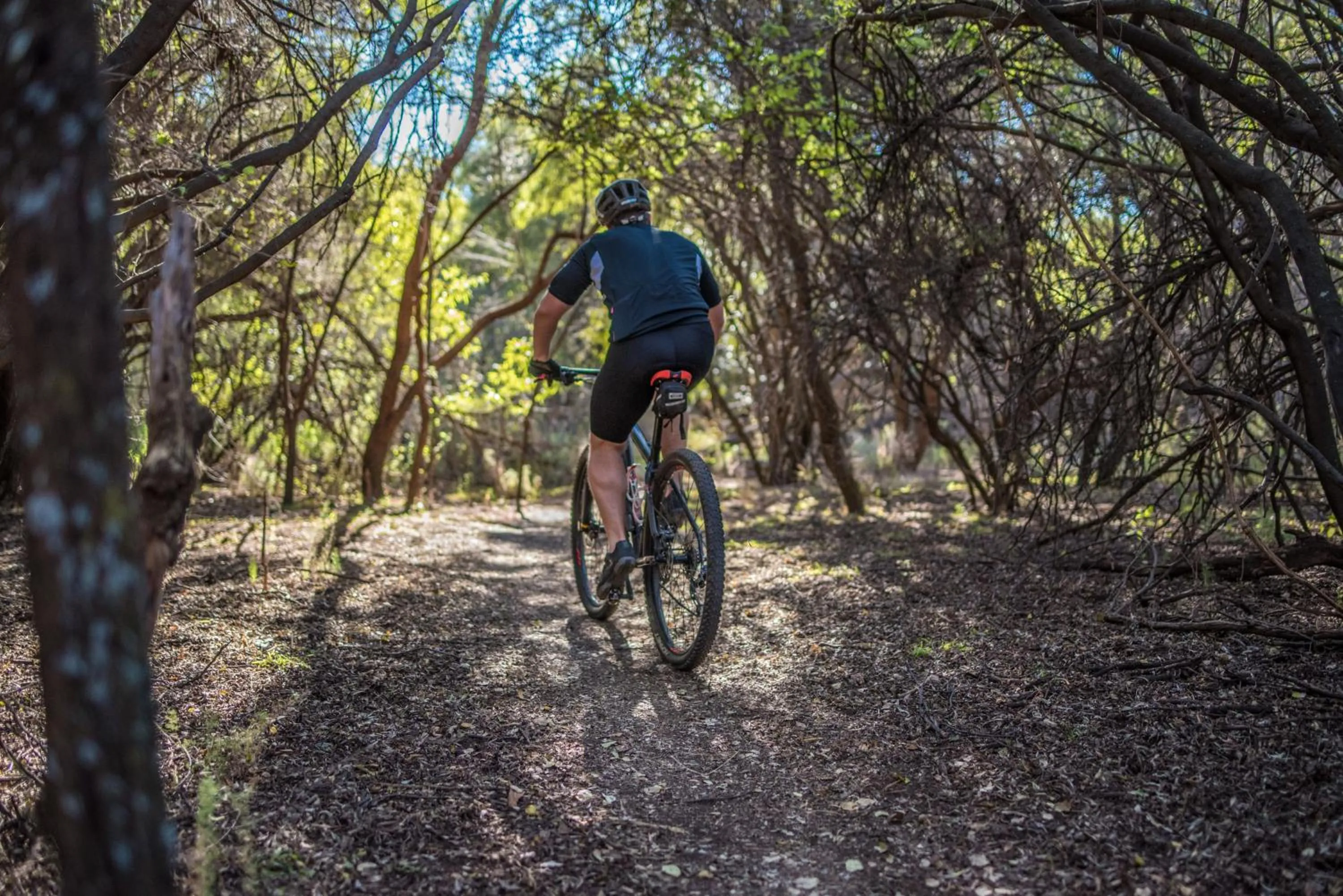Cycling in The Royal Fischer Hotel
