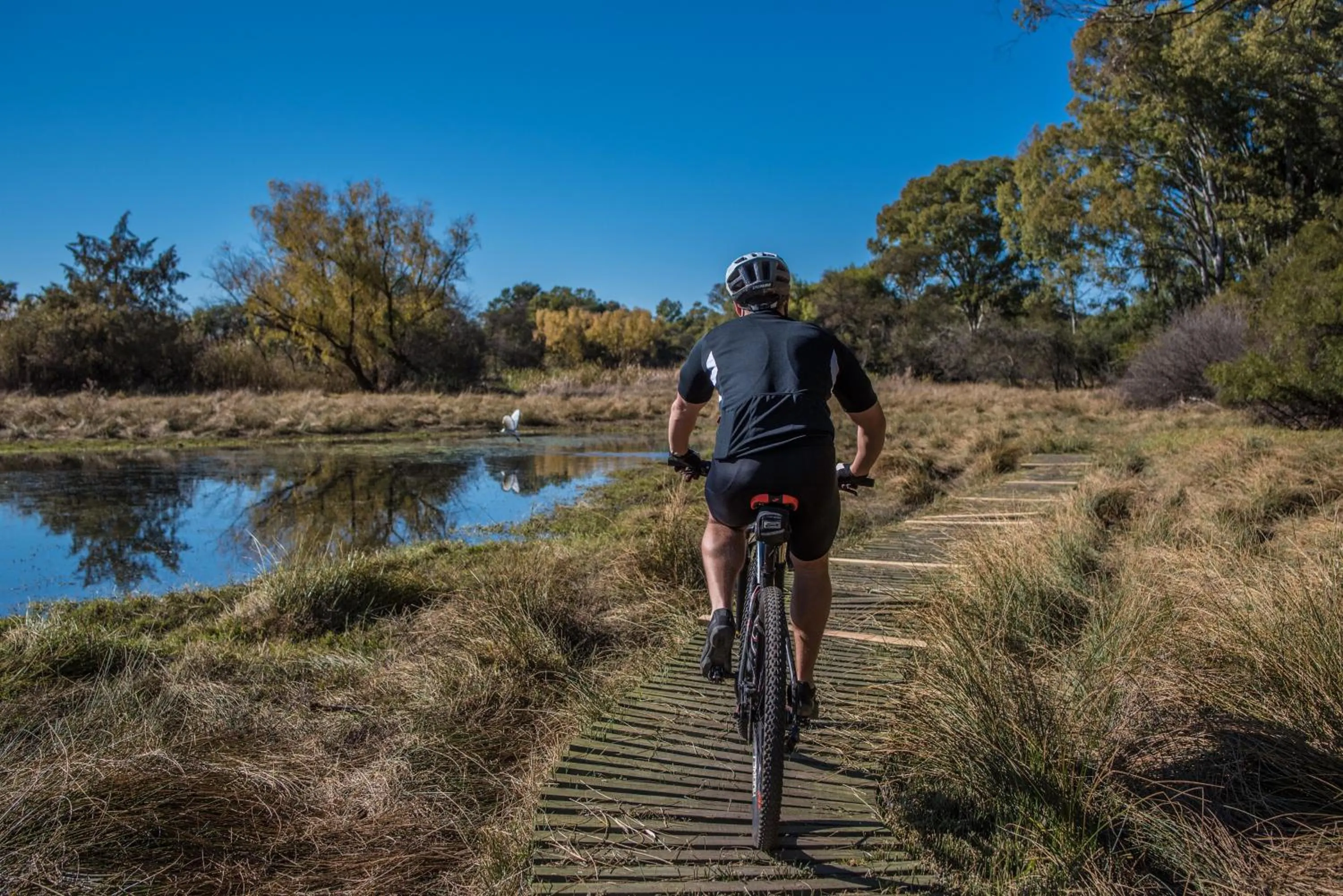 Cycling in The Royal Fischer Hotel