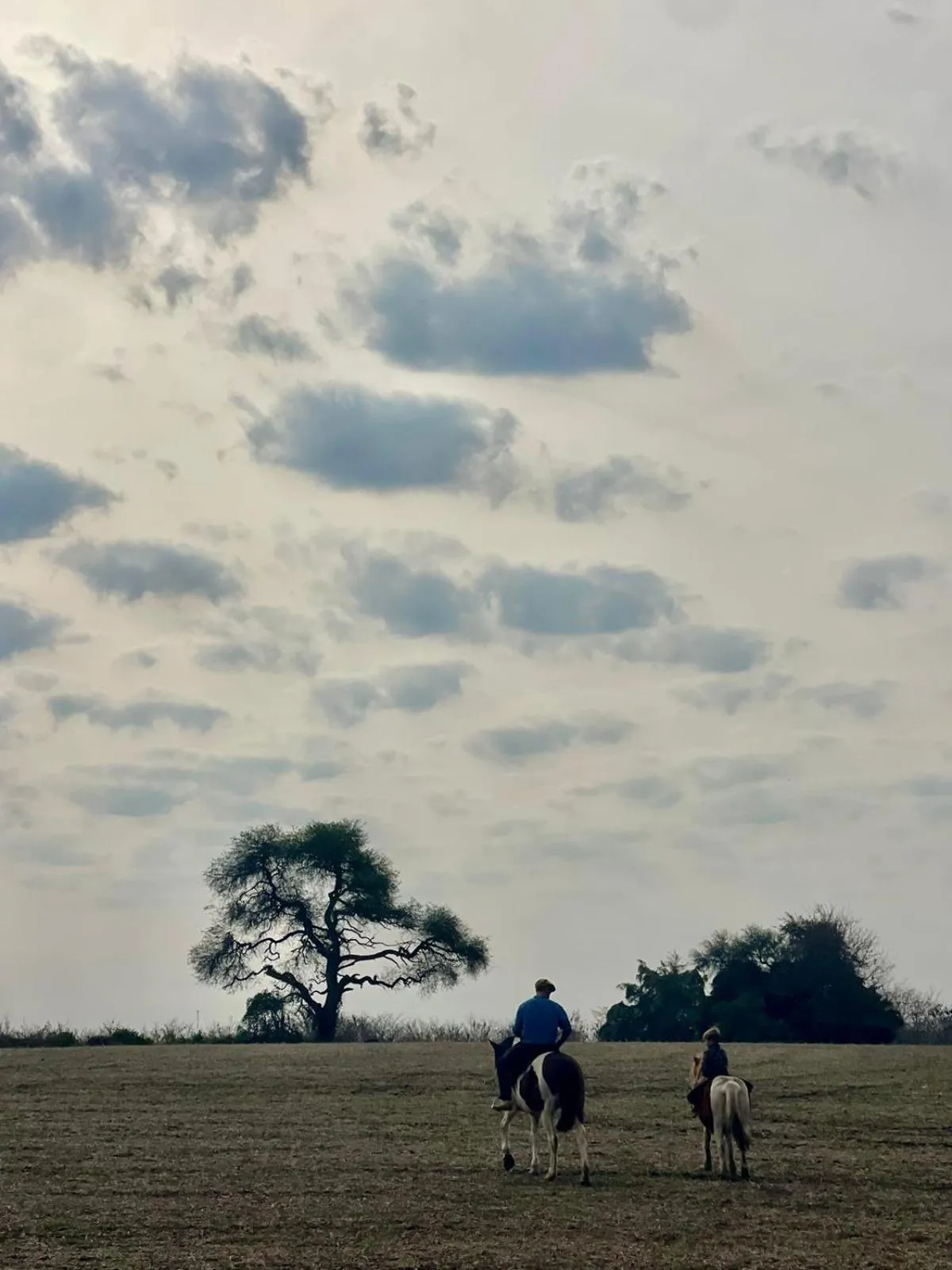 Palacio Santa Candida