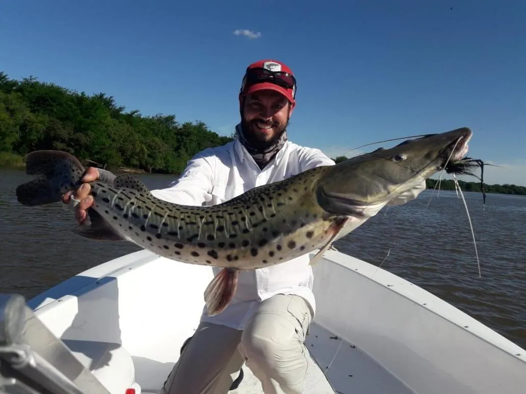 Activities in Palacio Santa Candida