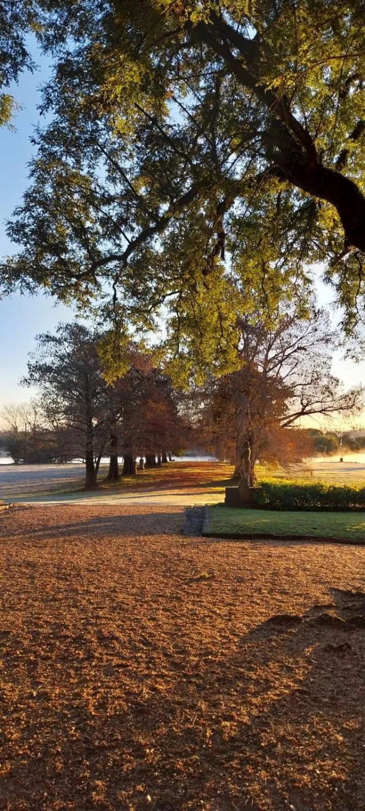 Palacio Santa Candida