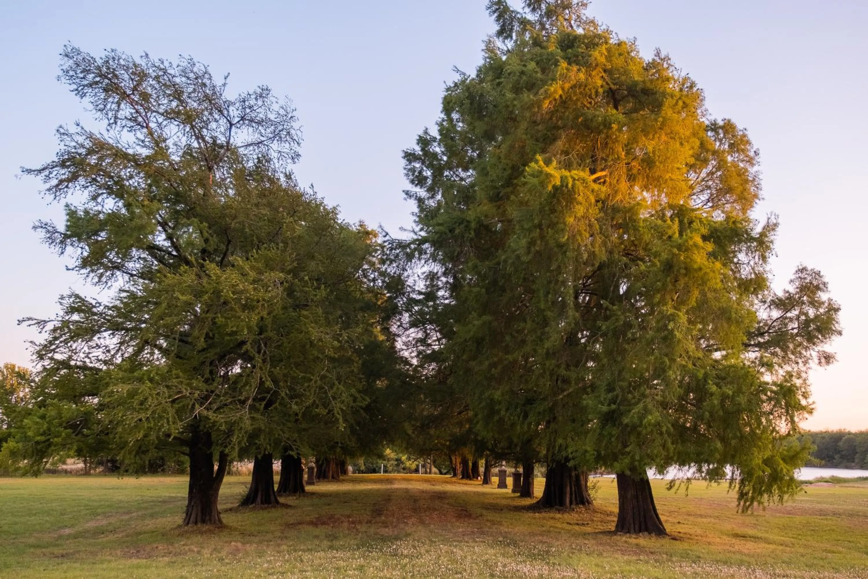 Natural landscape in Palacio Santa Candida