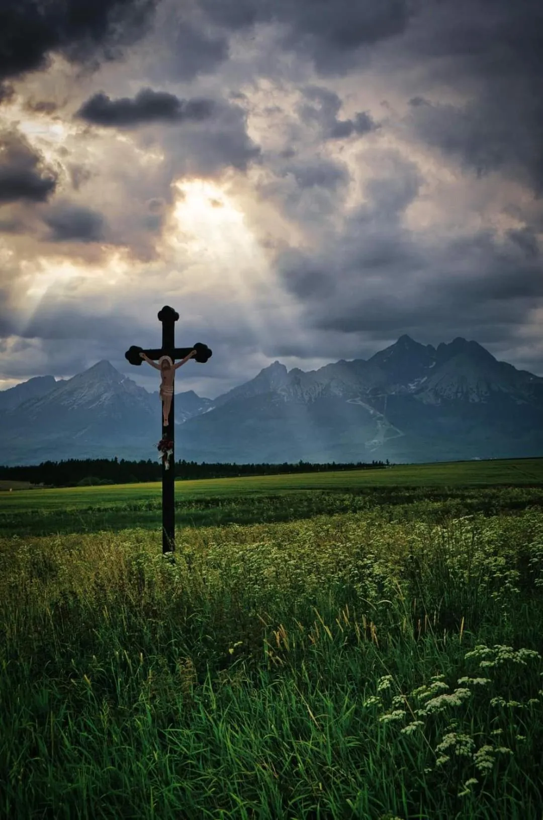 Neighbourhood in VeLa