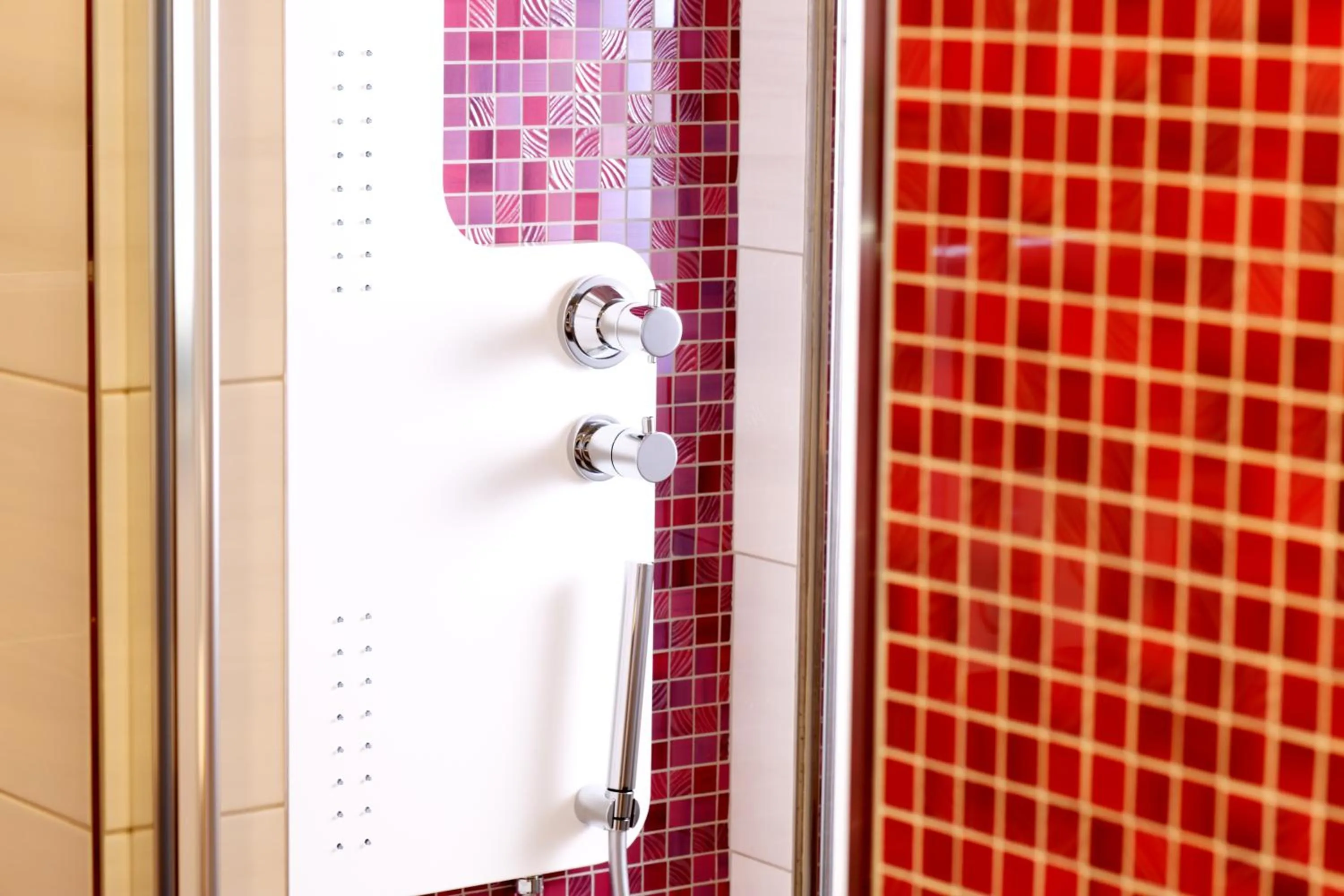 Shower in Hotel Terre Dei Salici