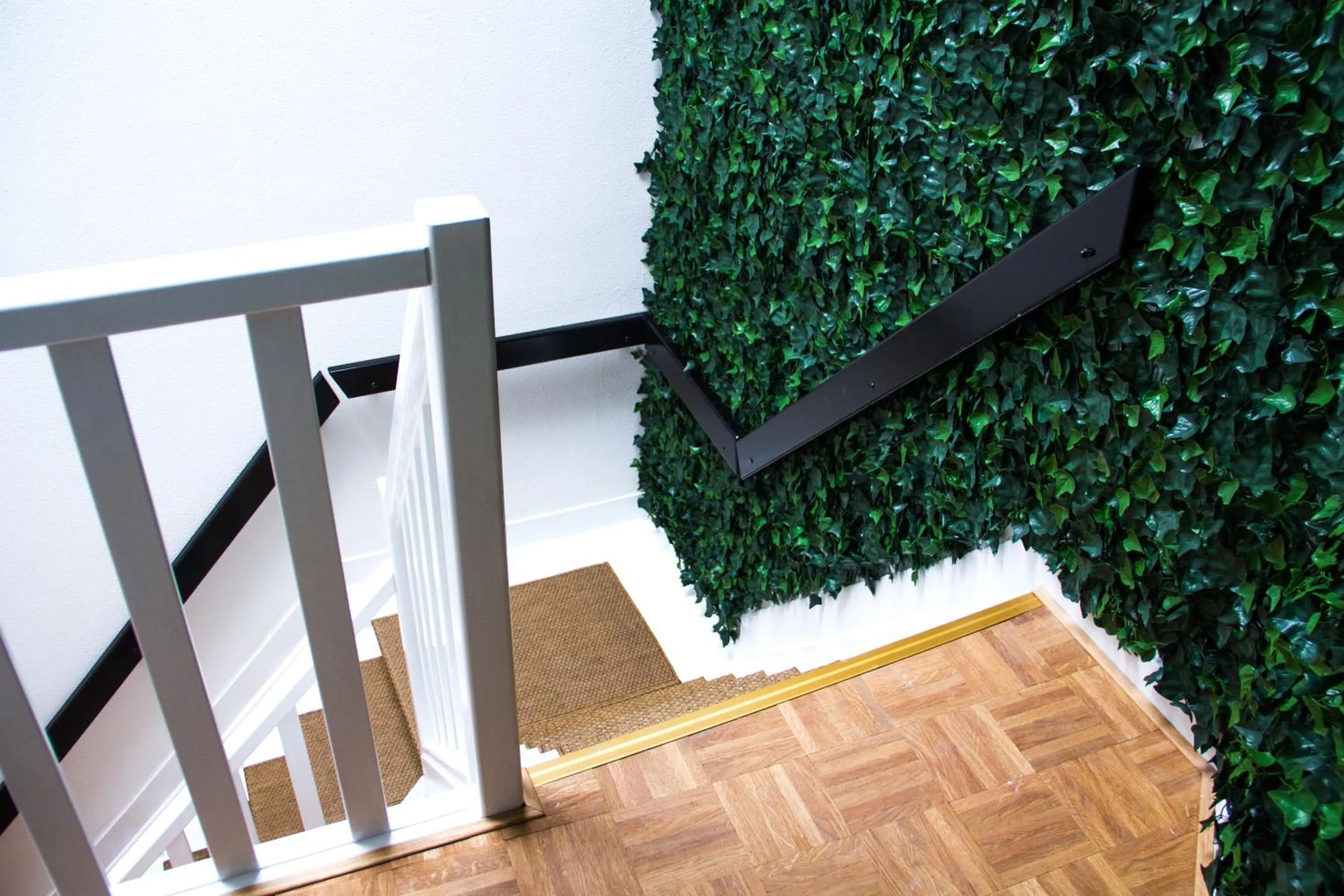 Area and facilities in Little Duke Hotel