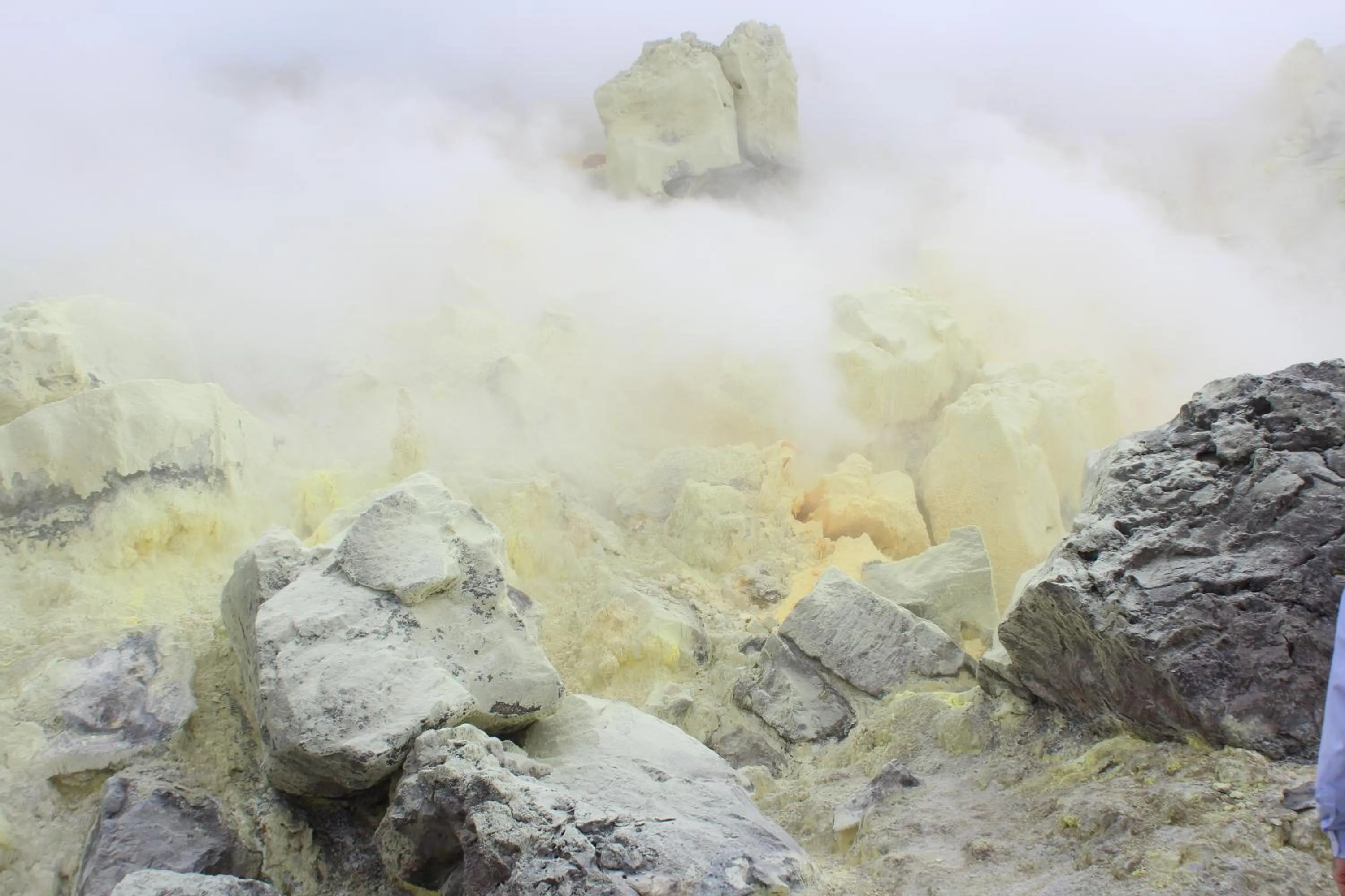 Day in Hotel Isamar Galapagos Beachfront