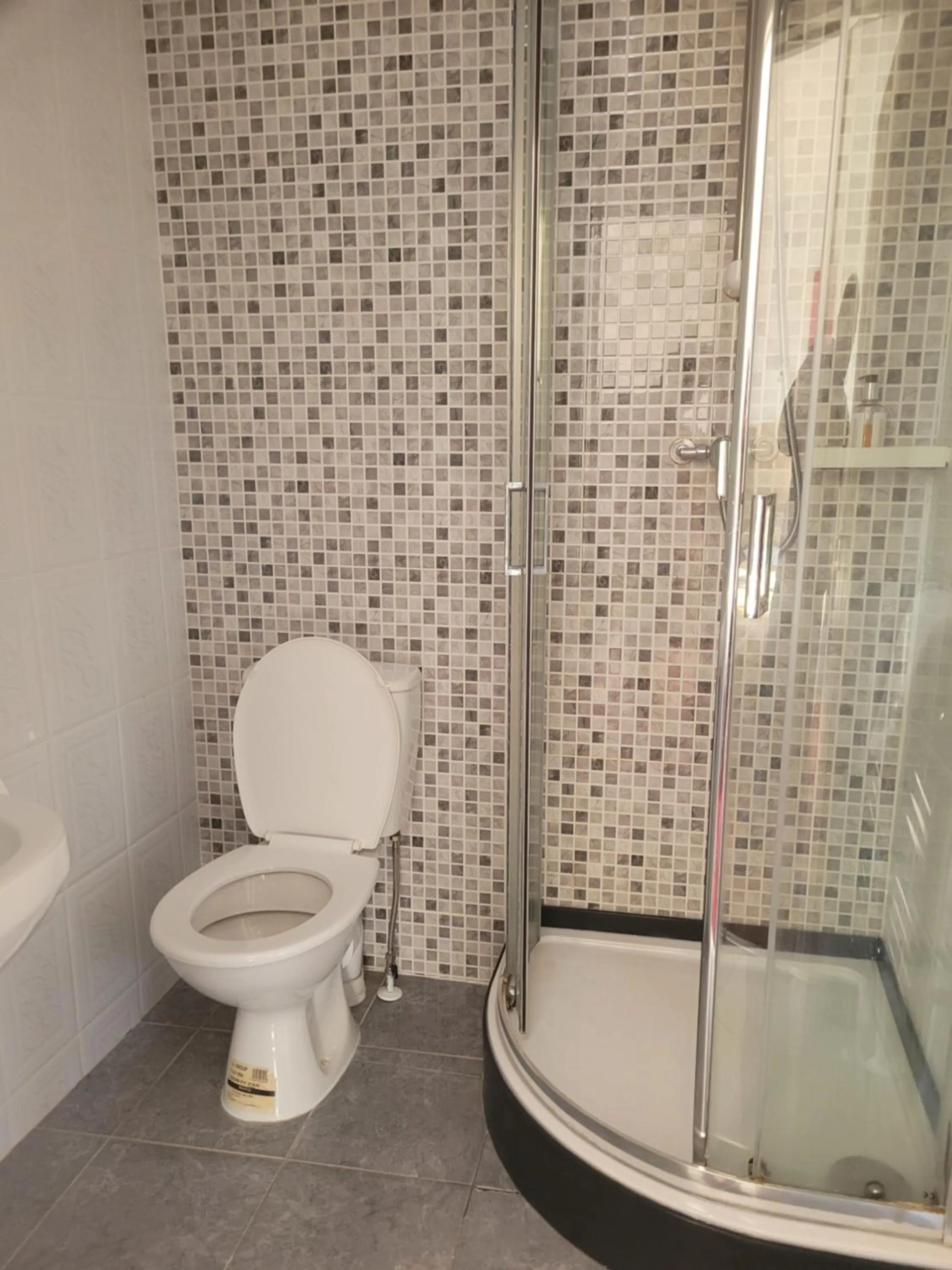 Toilet in The Gatwick White House Hotel