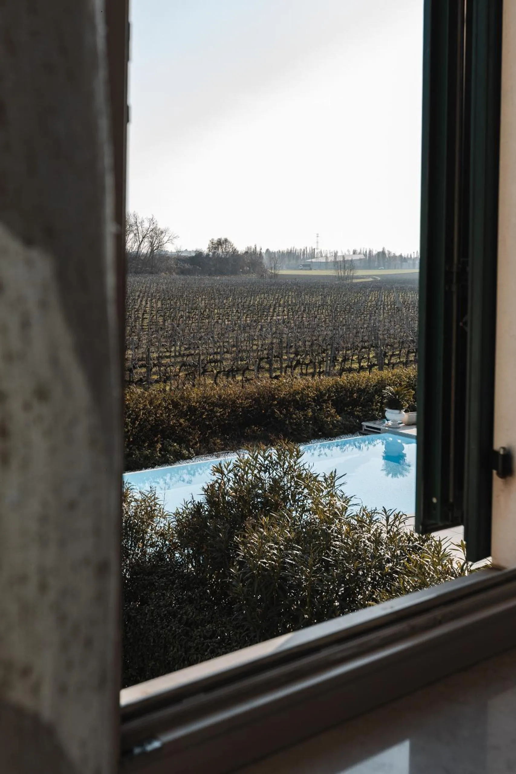 View (from property/room) in Residenza Pastrengo