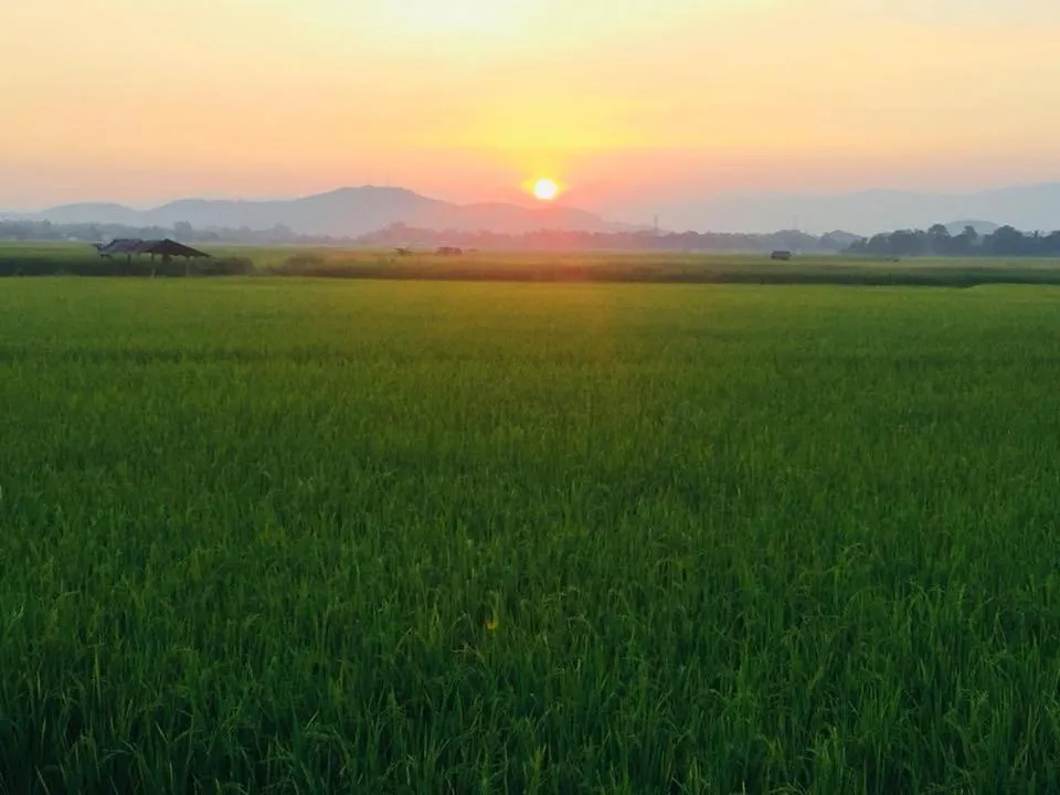 Balcony/Terrace in Pagoda Sight Residence