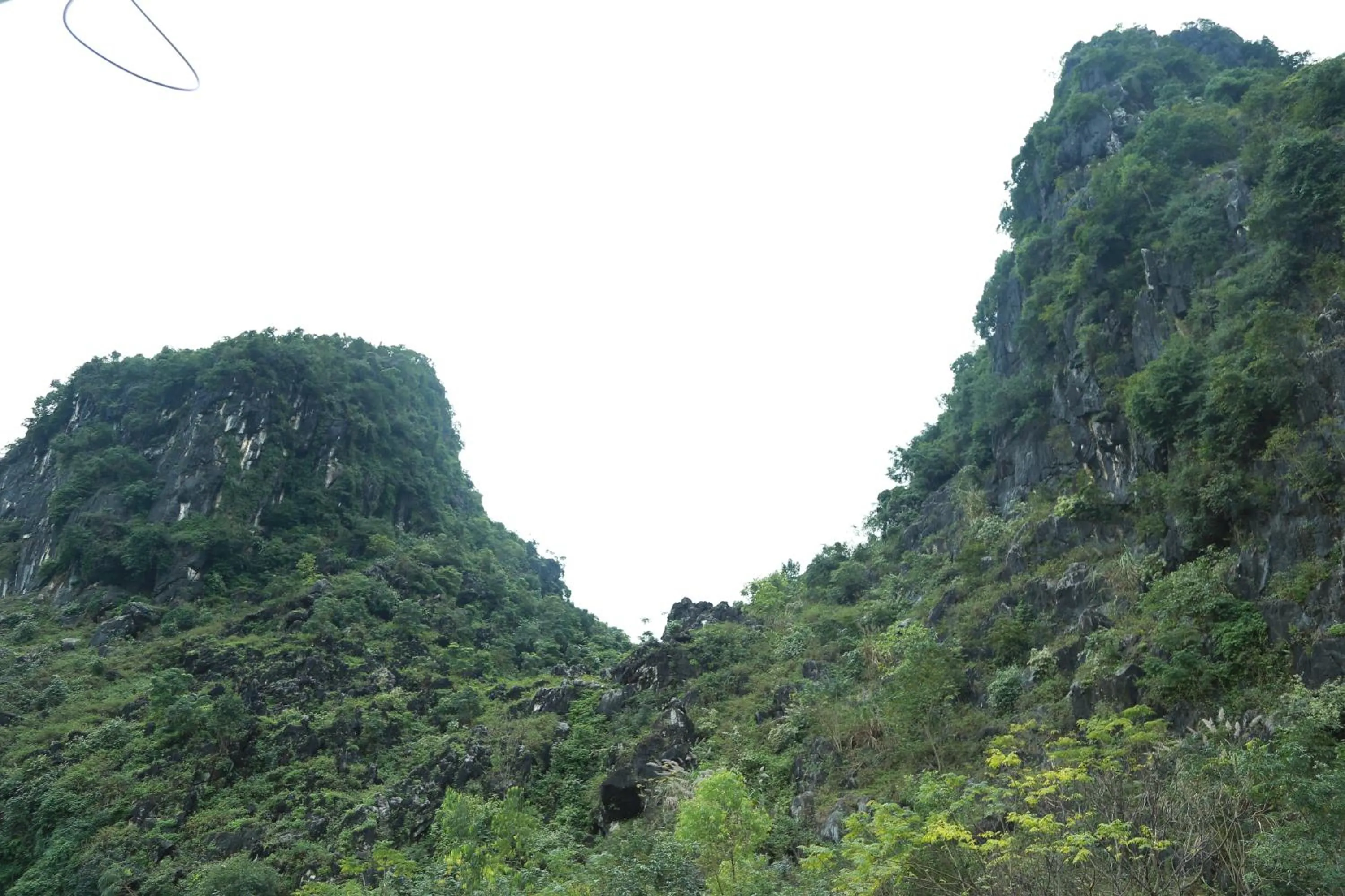 Natural landscape in Gold Plus Hotel