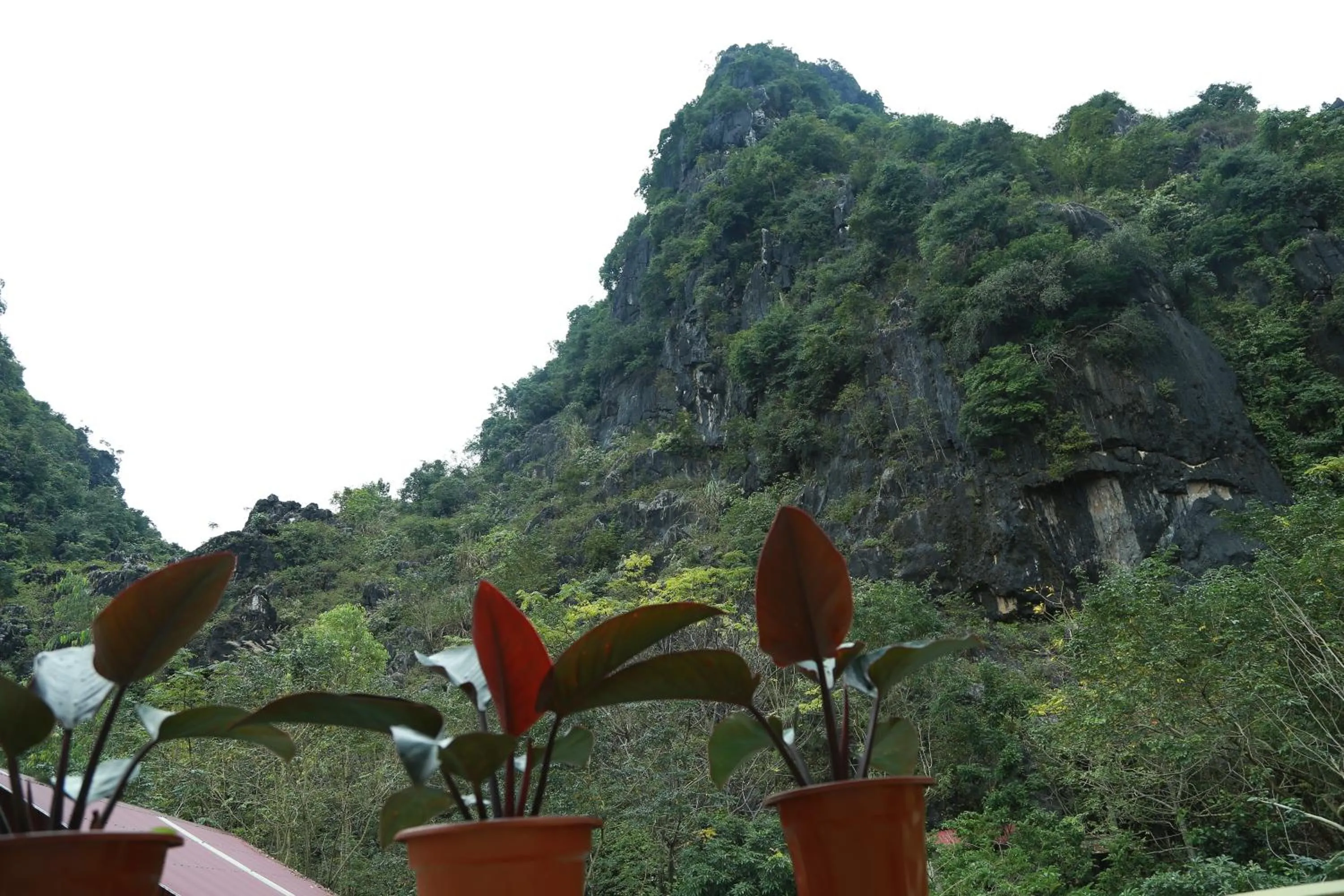 Natural landscape in Gold Plus Hotel