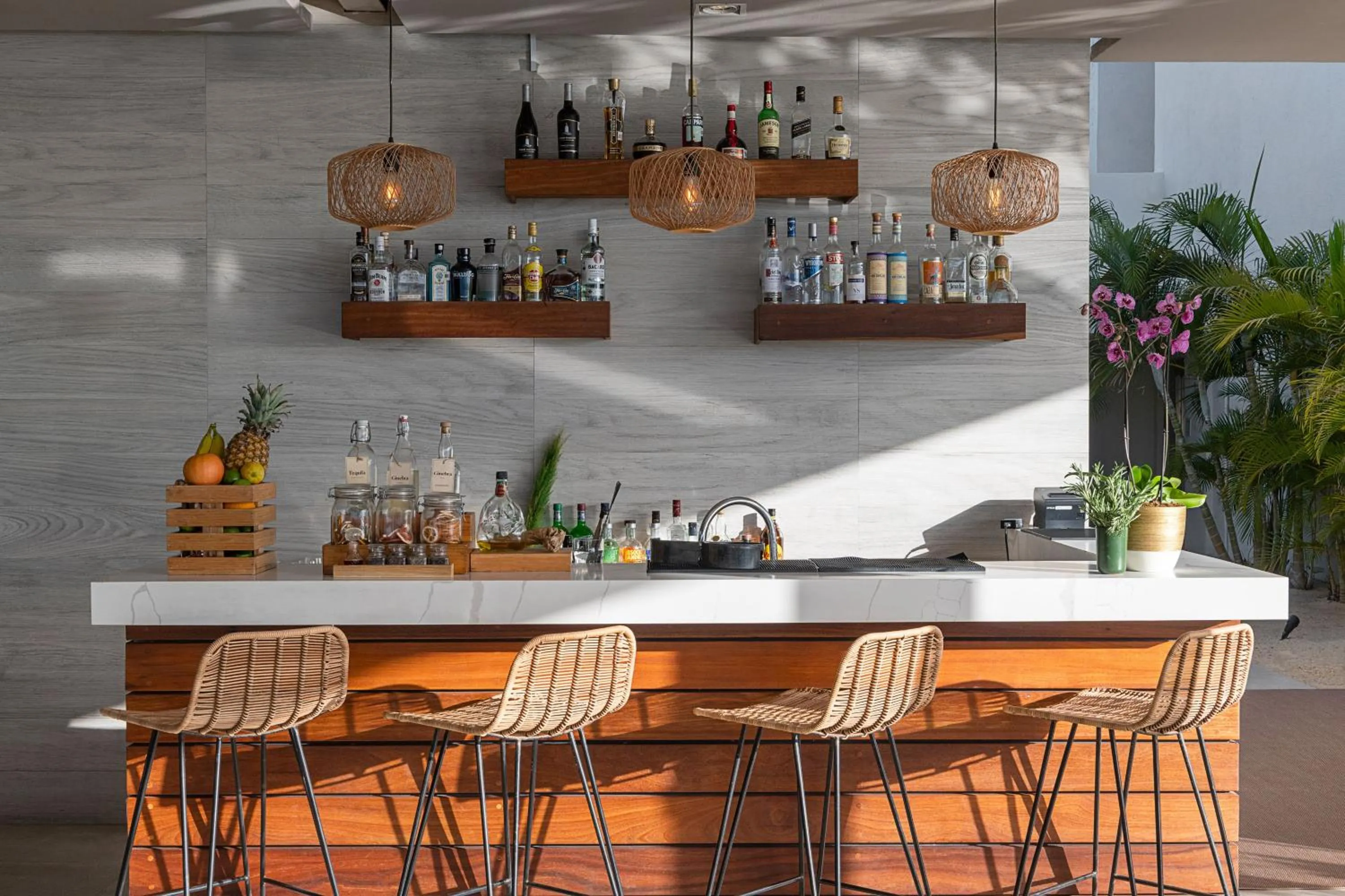 Lounge or bar in Paradisus Los Cabos - Adults Only