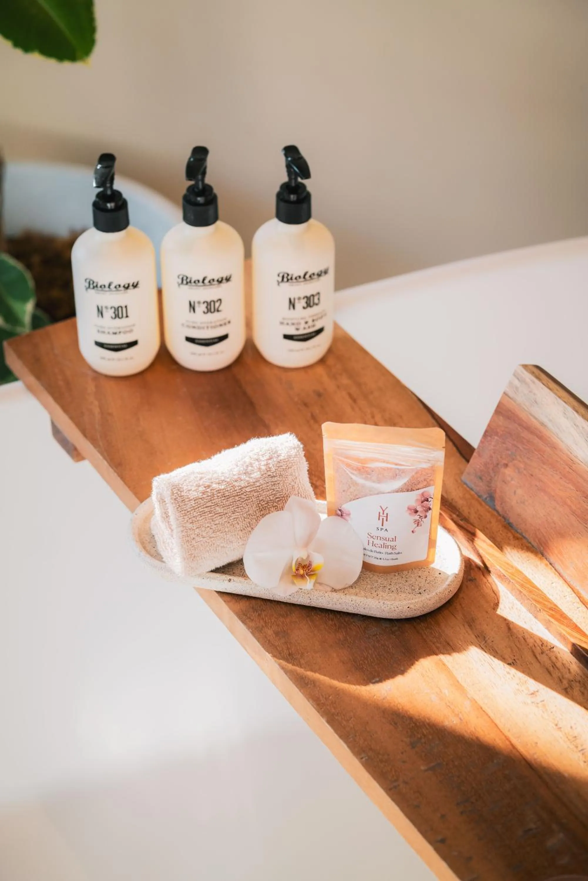 Paradisus Los Cabos - Adults Only