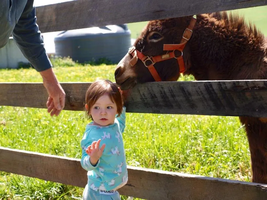 Manderley Park Farmstay B&B