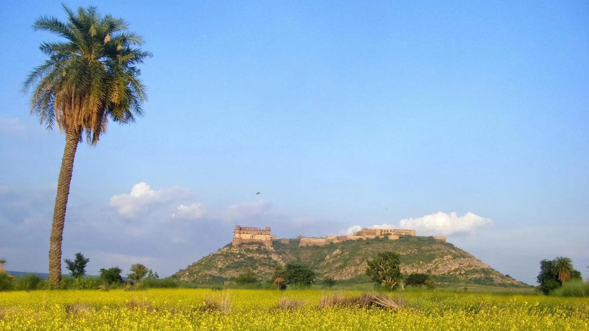 Natural landscape in Neemrana's - Tijara Fort Palace