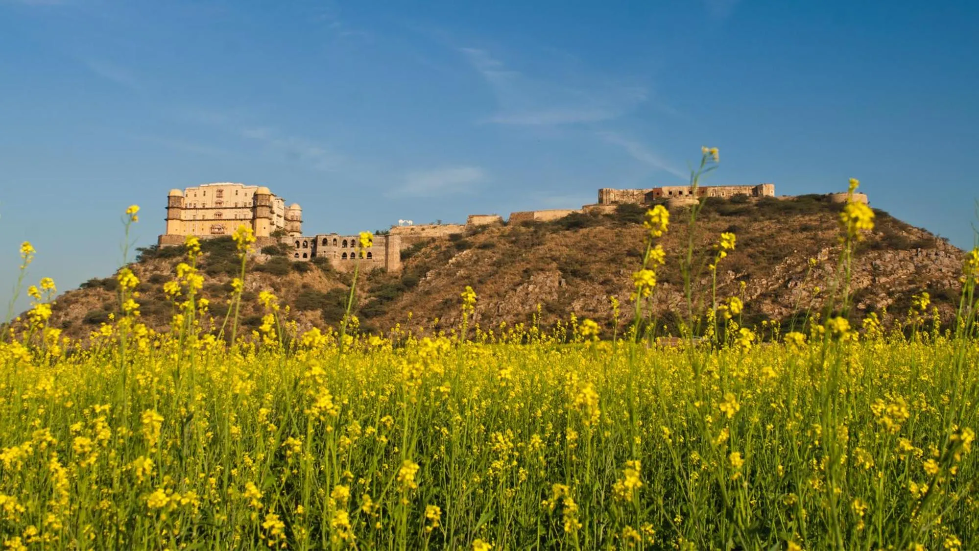 Property building in Neemrana's - Tijara Fort Palace