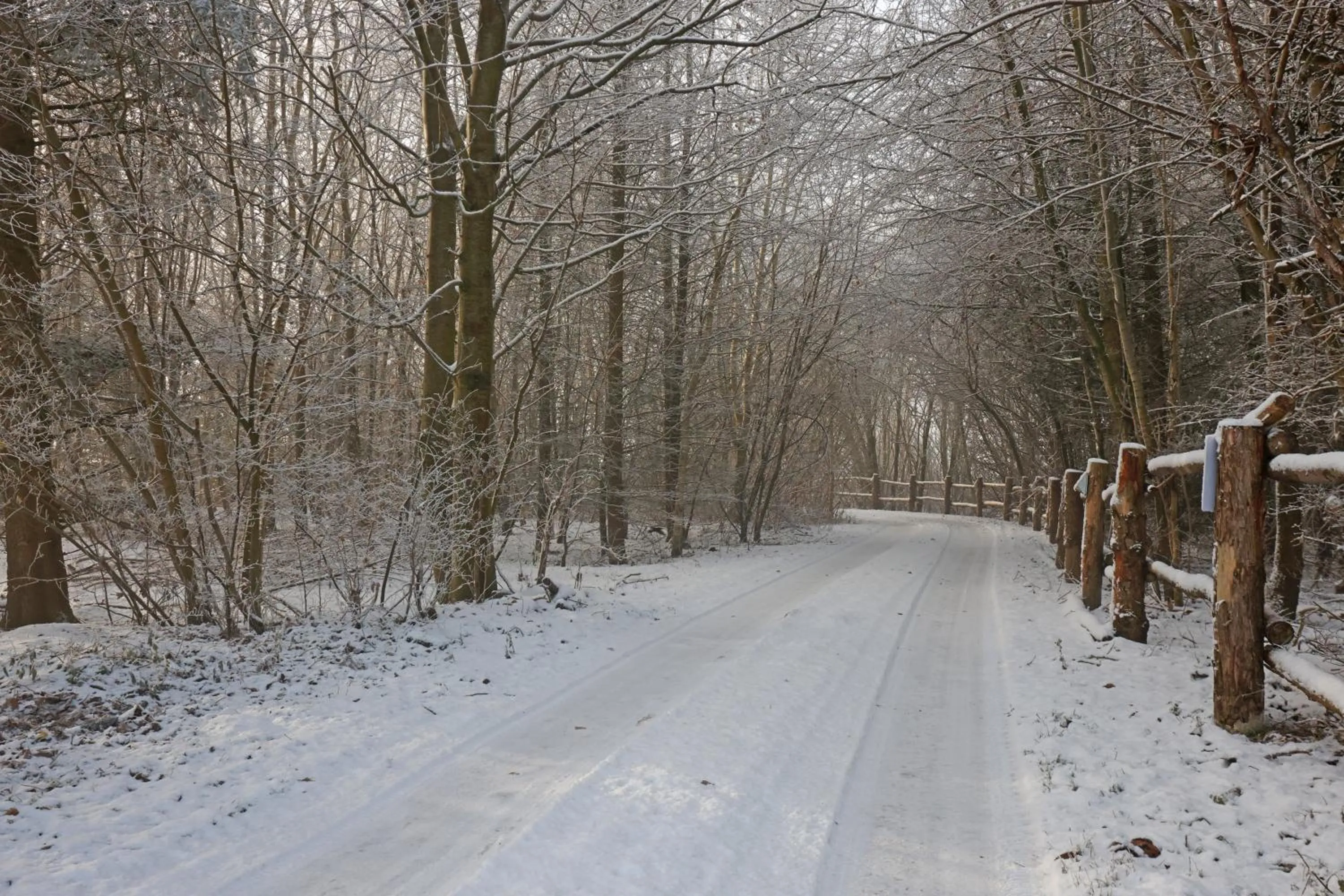 Natural landscape in Storm's stay - Near MCH & BOXEN
