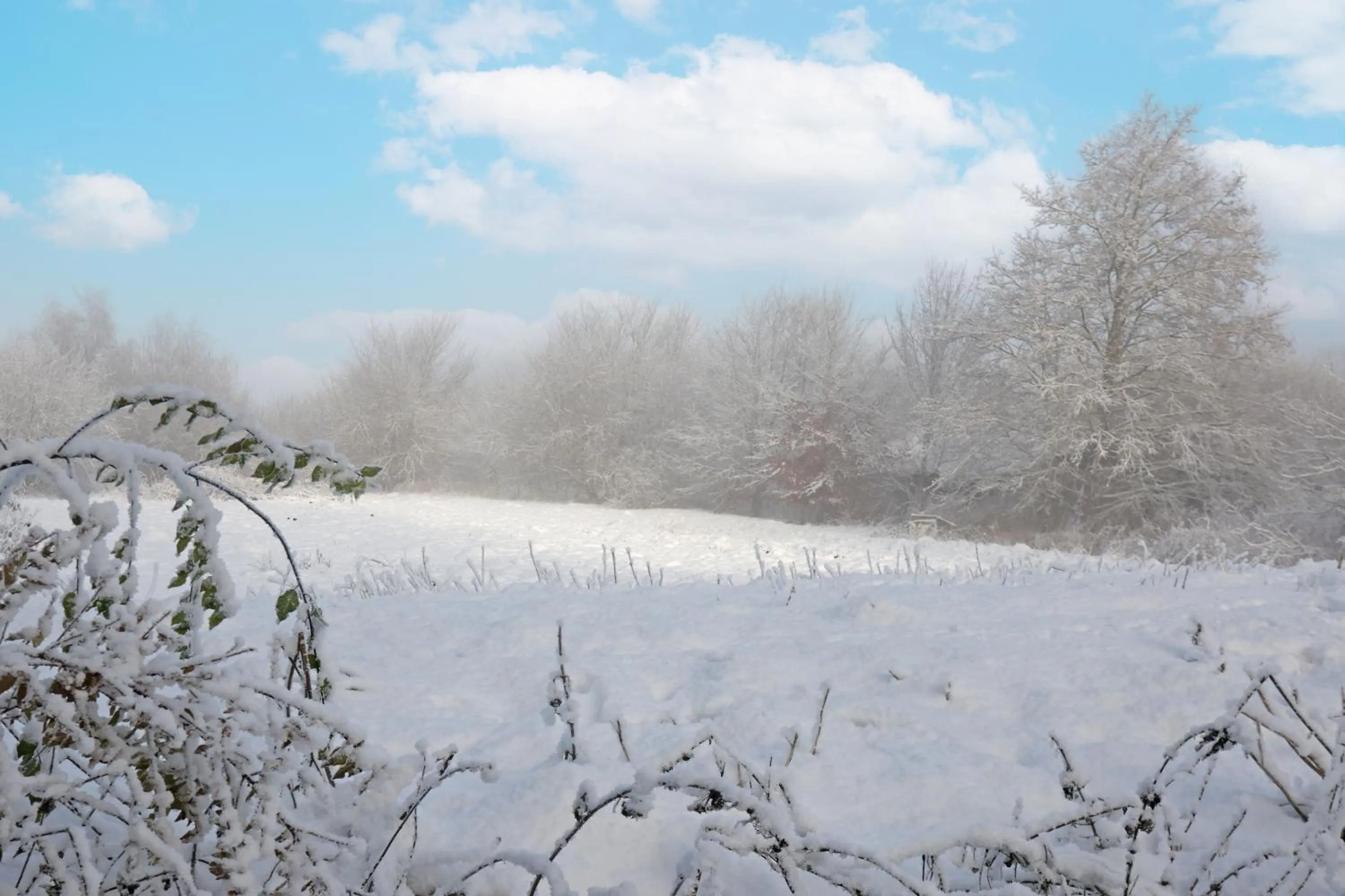 Natural landscape in Storm's stay - Near MCH & BOXEN
