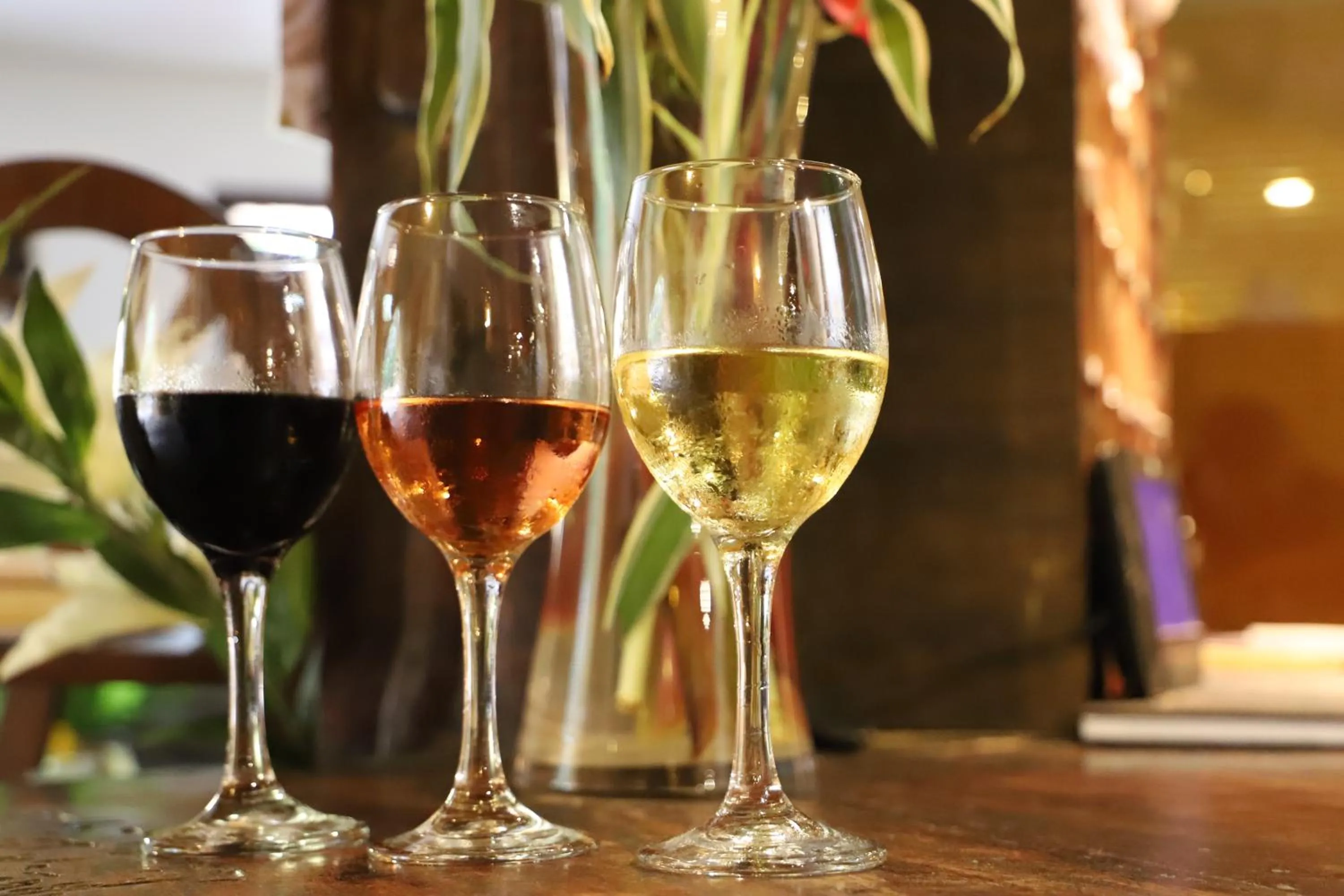 Lounge or bar in Le Wafou