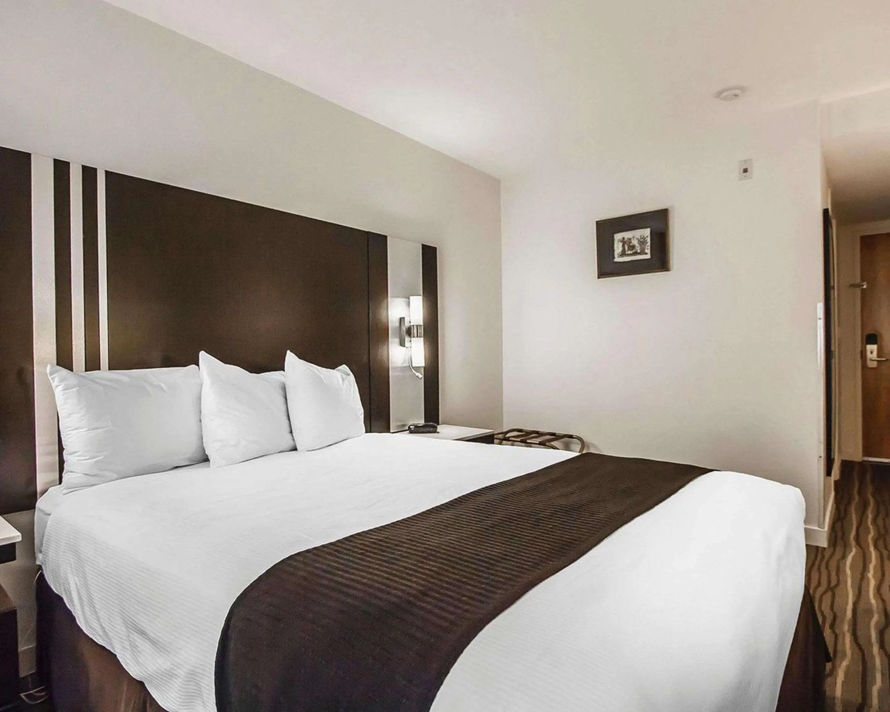 Photo of the whole room, Bed in Comfort Hotel Vancouver Airport