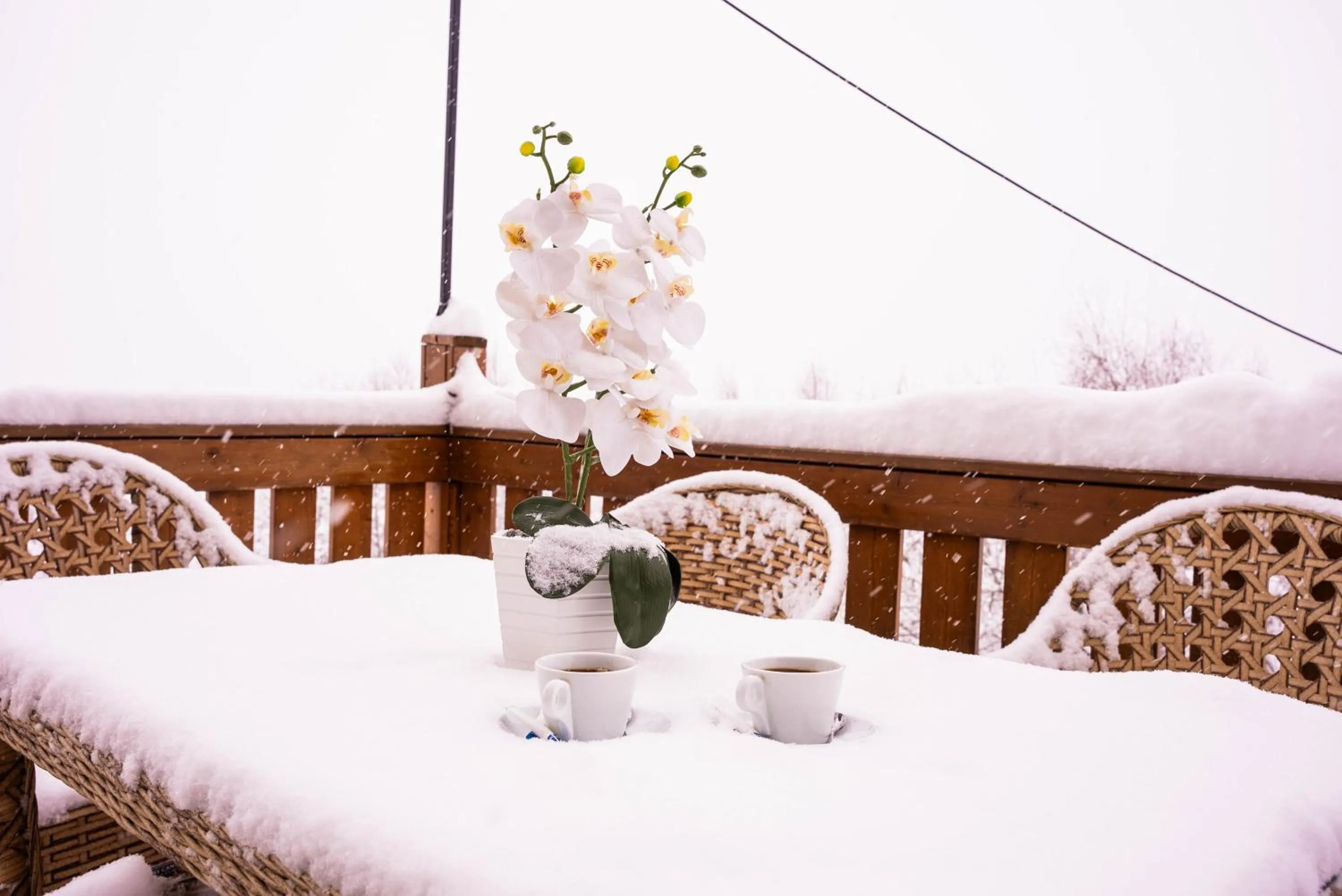 Restaurant/places to eat in Gudauri Inn