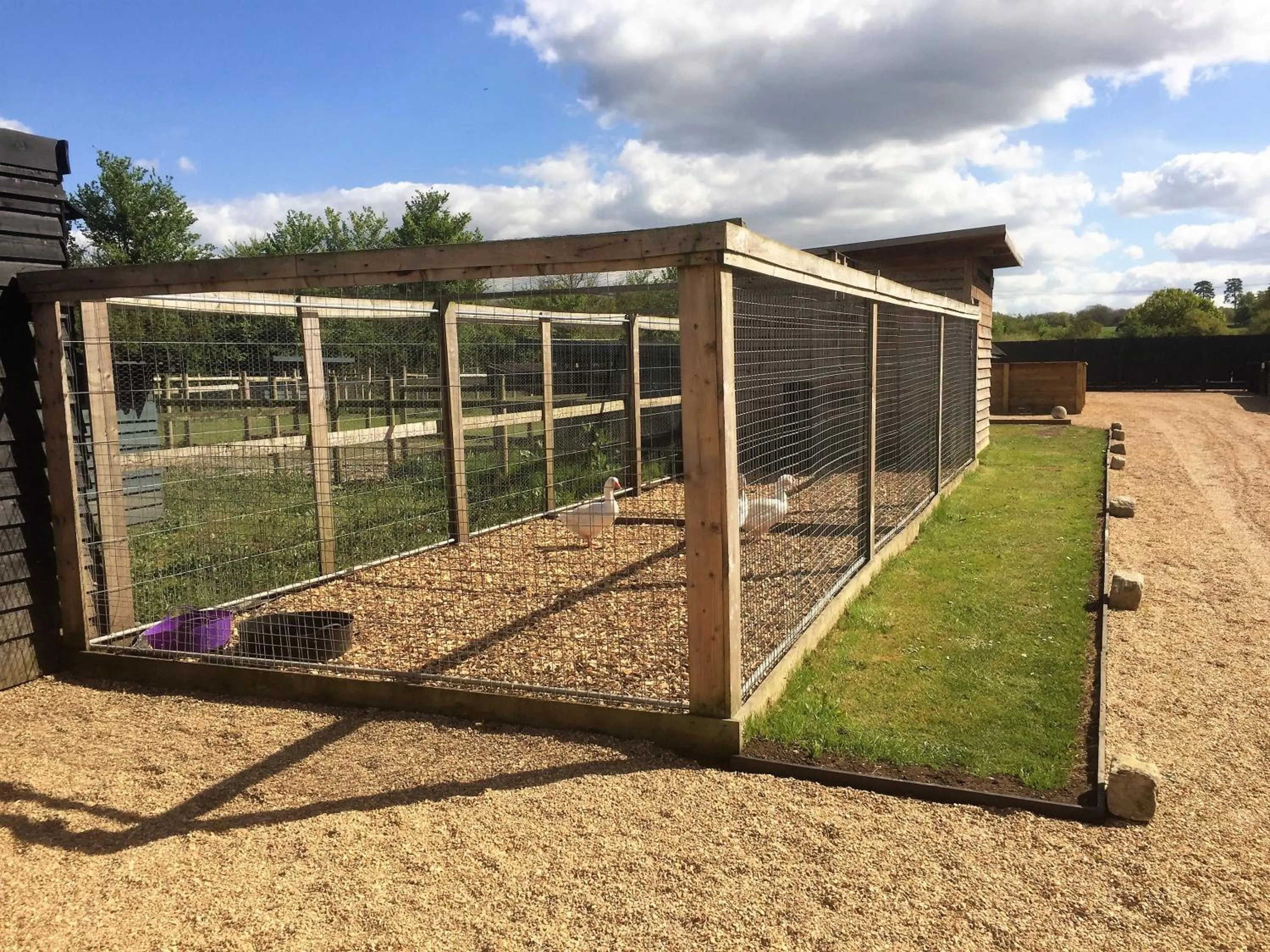 Animals in Willow Court Farm Studio South & Petting Farm, 8 mins from Legoland & Windsor, 15 mins from Lapland UK