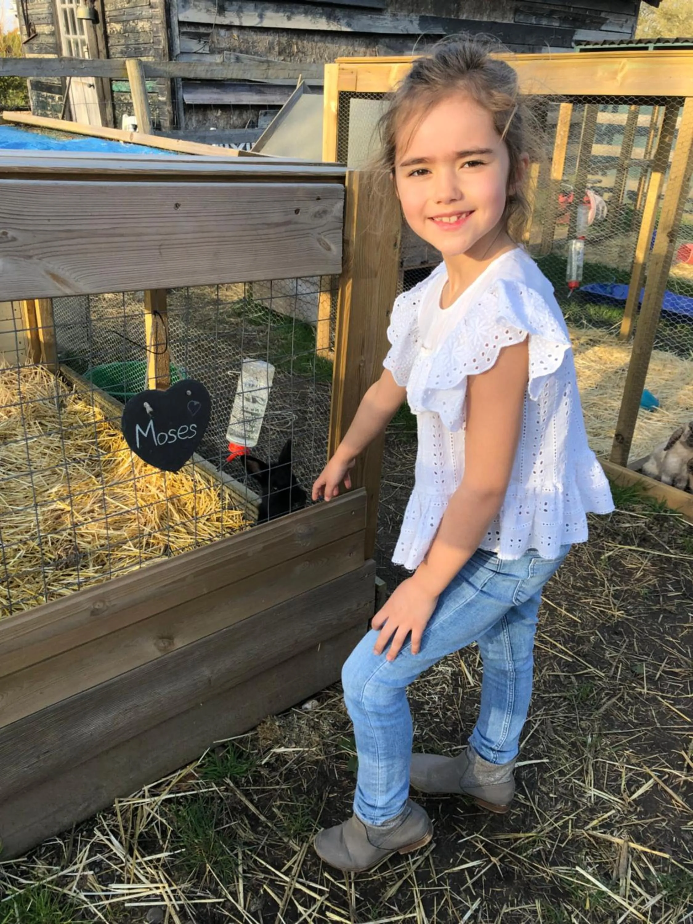 Animals in Willow Court Farm Studio South & Petting Farm, 8 mins from Legoland & Windsor, 15 mins from Lapland UK