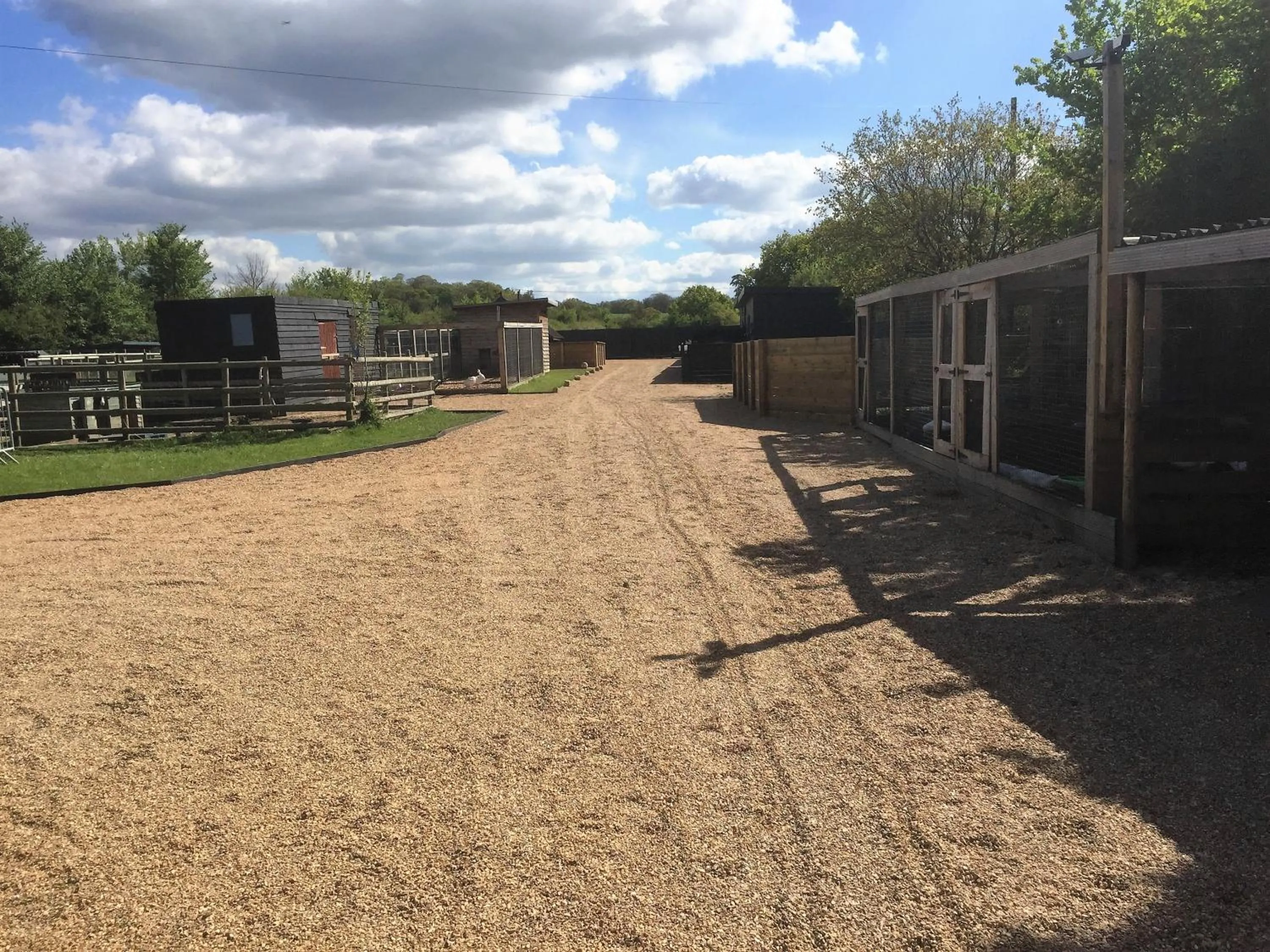 Animals in Willow Court Farm Studio South & Petting Farm, 8 mins from Legoland & Windsor, 15 mins from Lapland UK