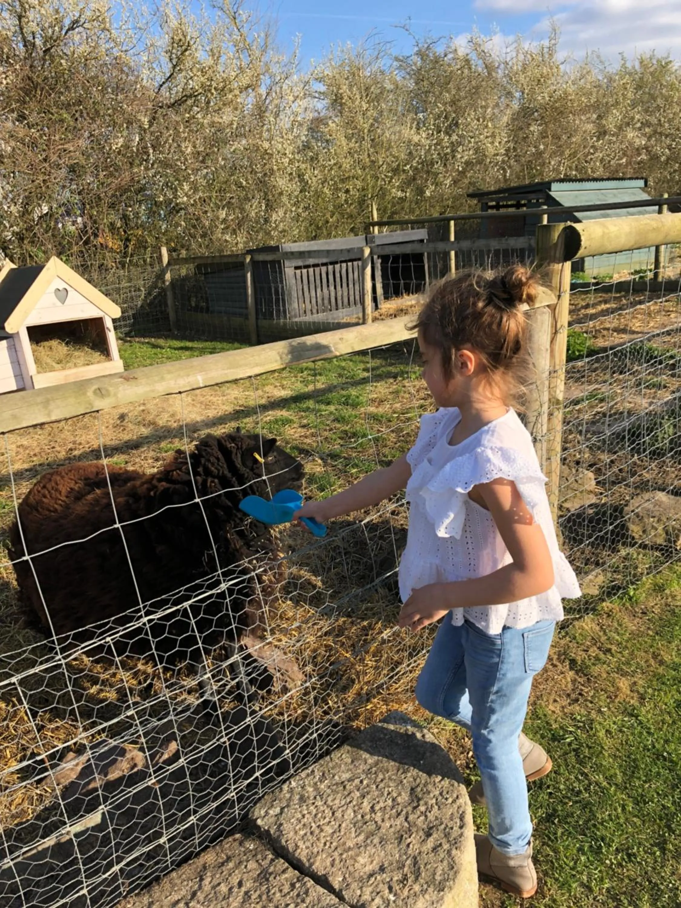 Animals in Willow Court Farm Studio South & Petting Farm, 8 mins from Legoland & Windsor, 15 mins from Lapland UK