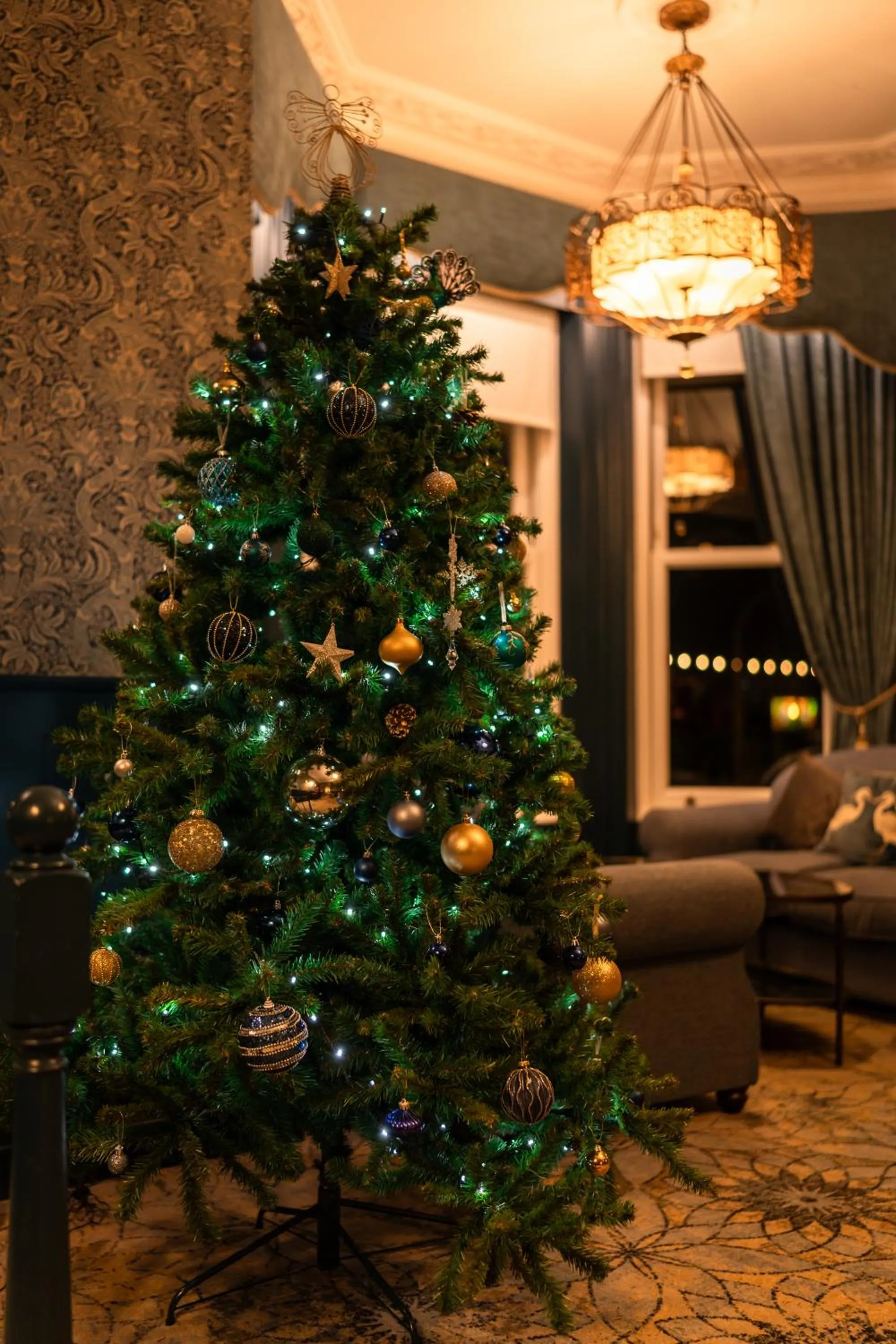 Entertainment in The Lansdowne, Eastbourne