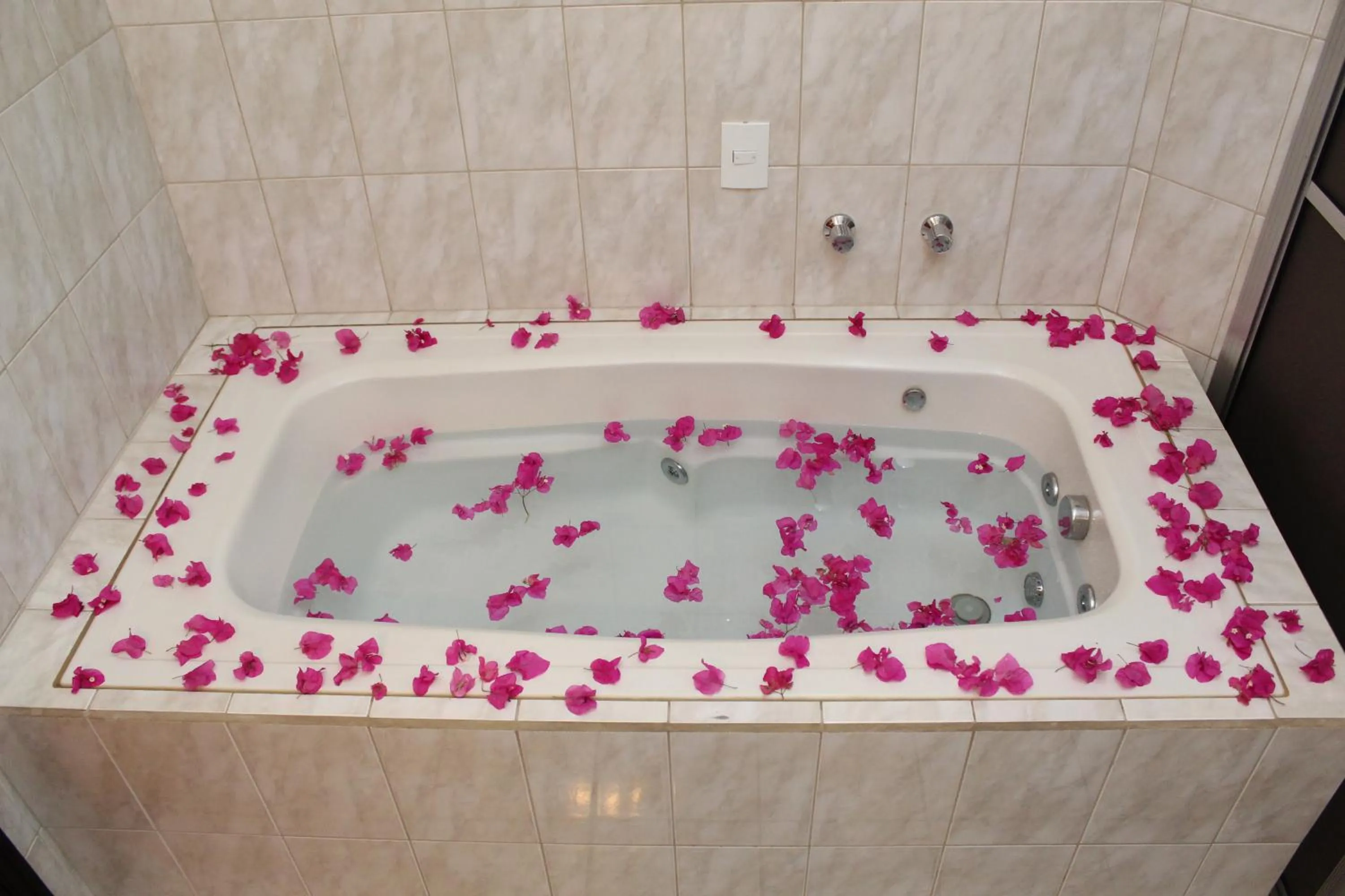 Grandes Lagos Park Hotel