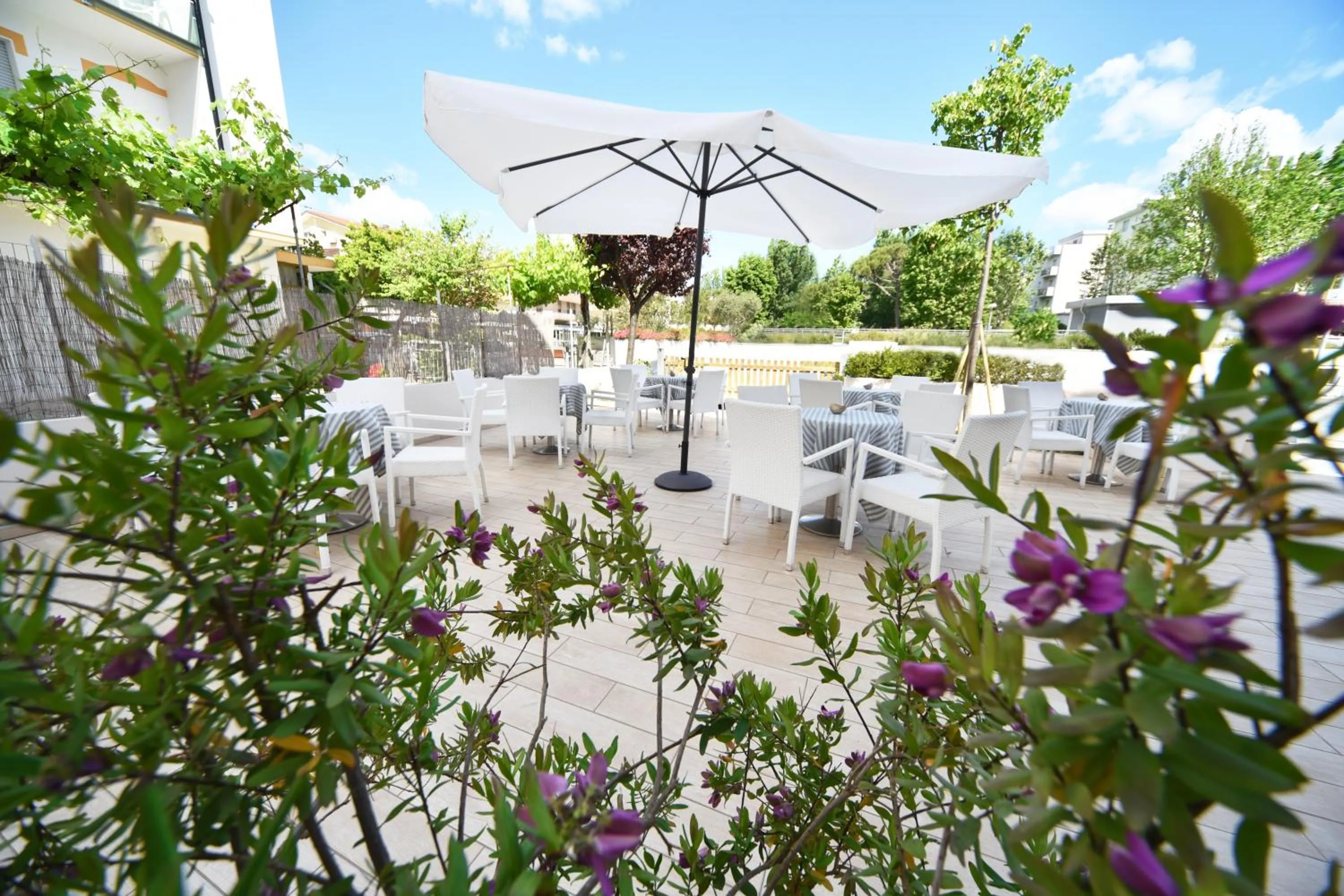 Patio in Hotel Marina