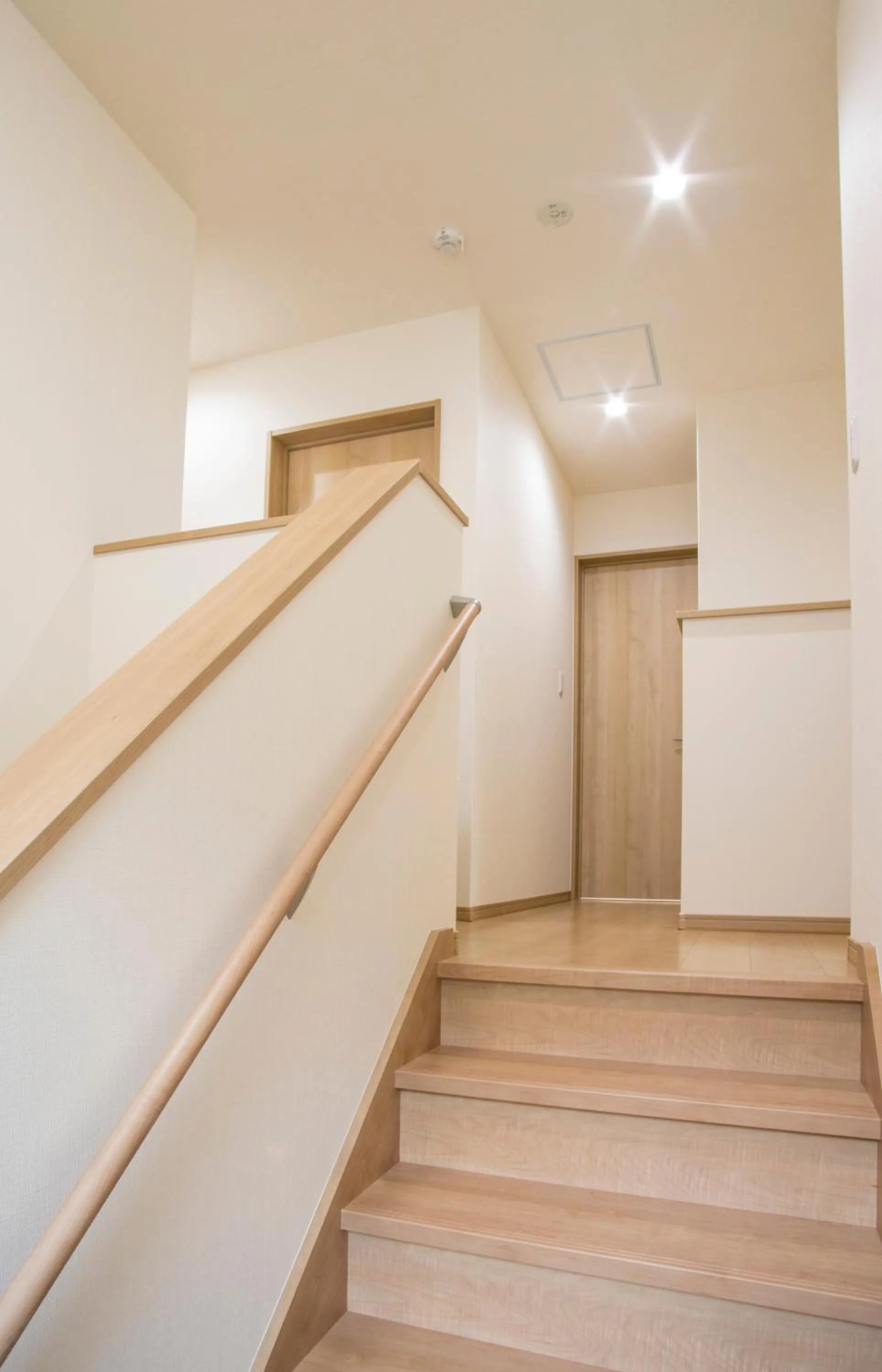 Area and facilities in Koko