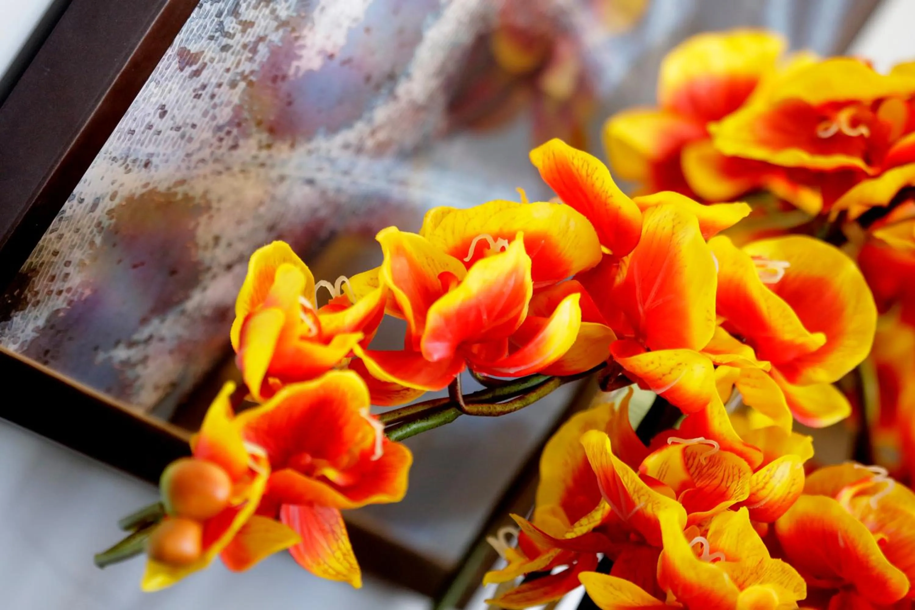 Other in Best Western Plus Vauxhall Hotel