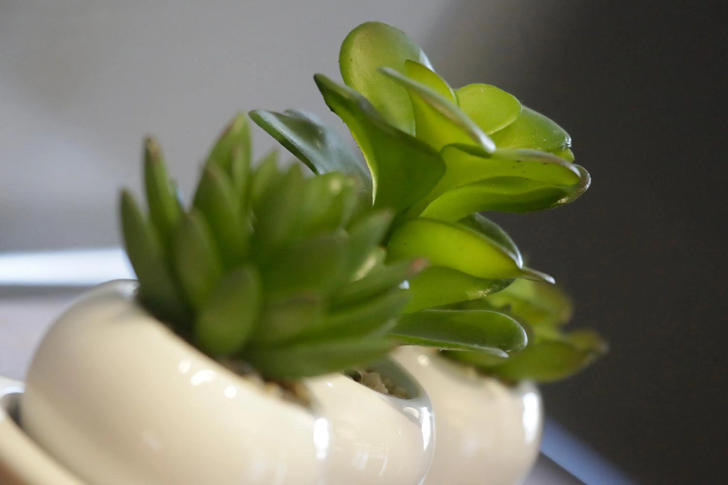Dining area in Best Western Plus Vauxhall Hotel