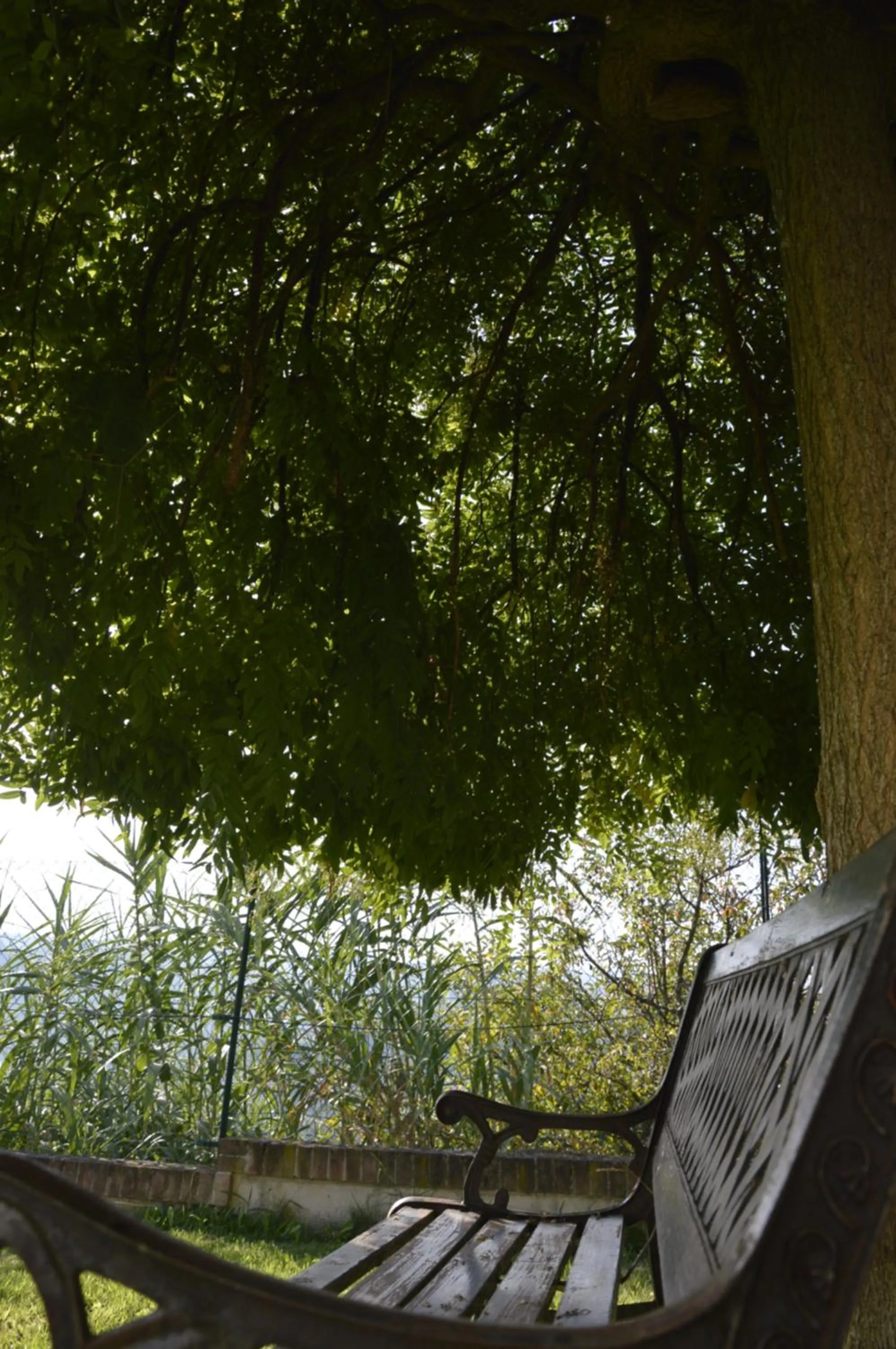 Garden in I Tigli di Altavilla