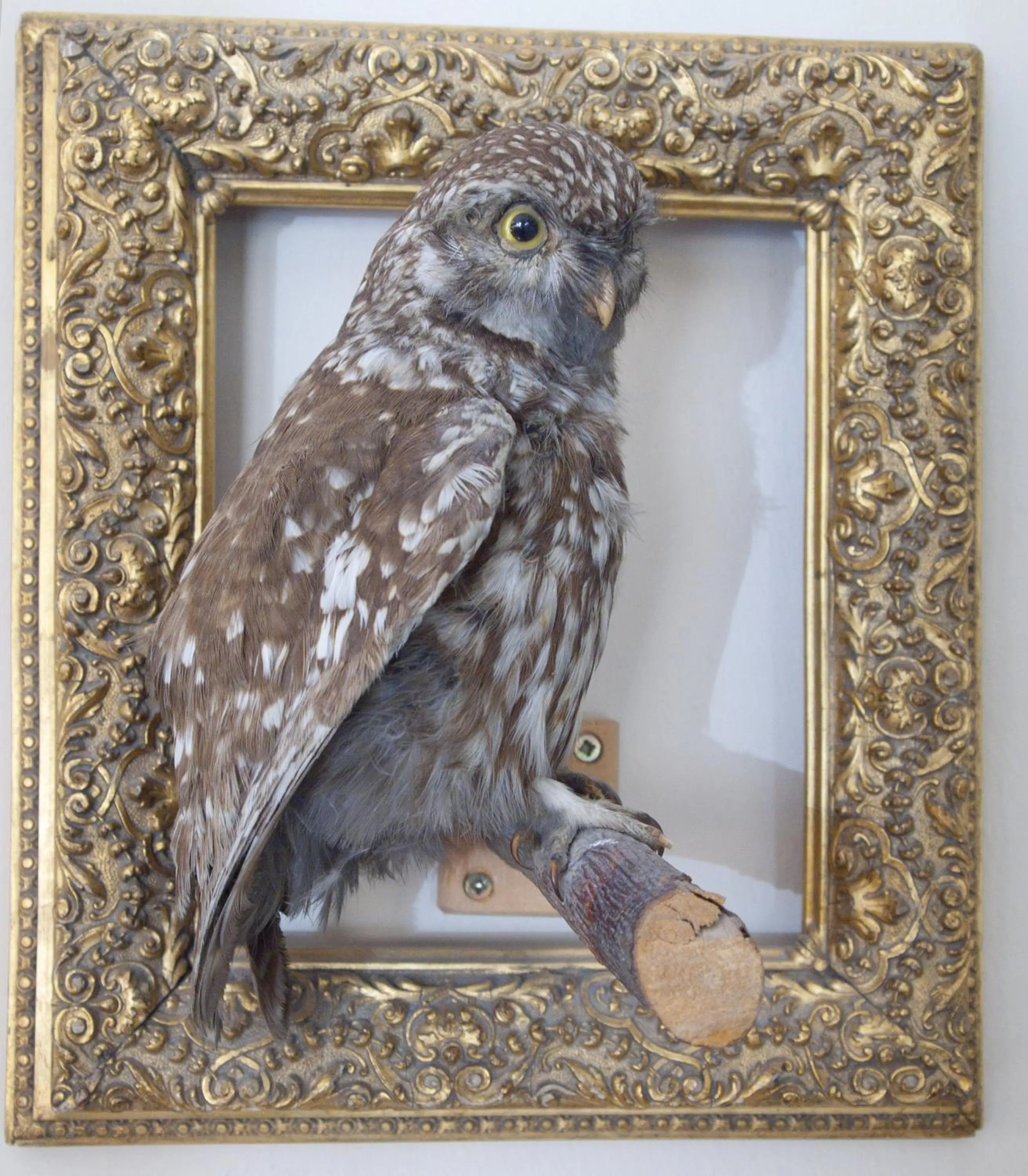 Lounge or bar in Bergland Hotel - Adults only