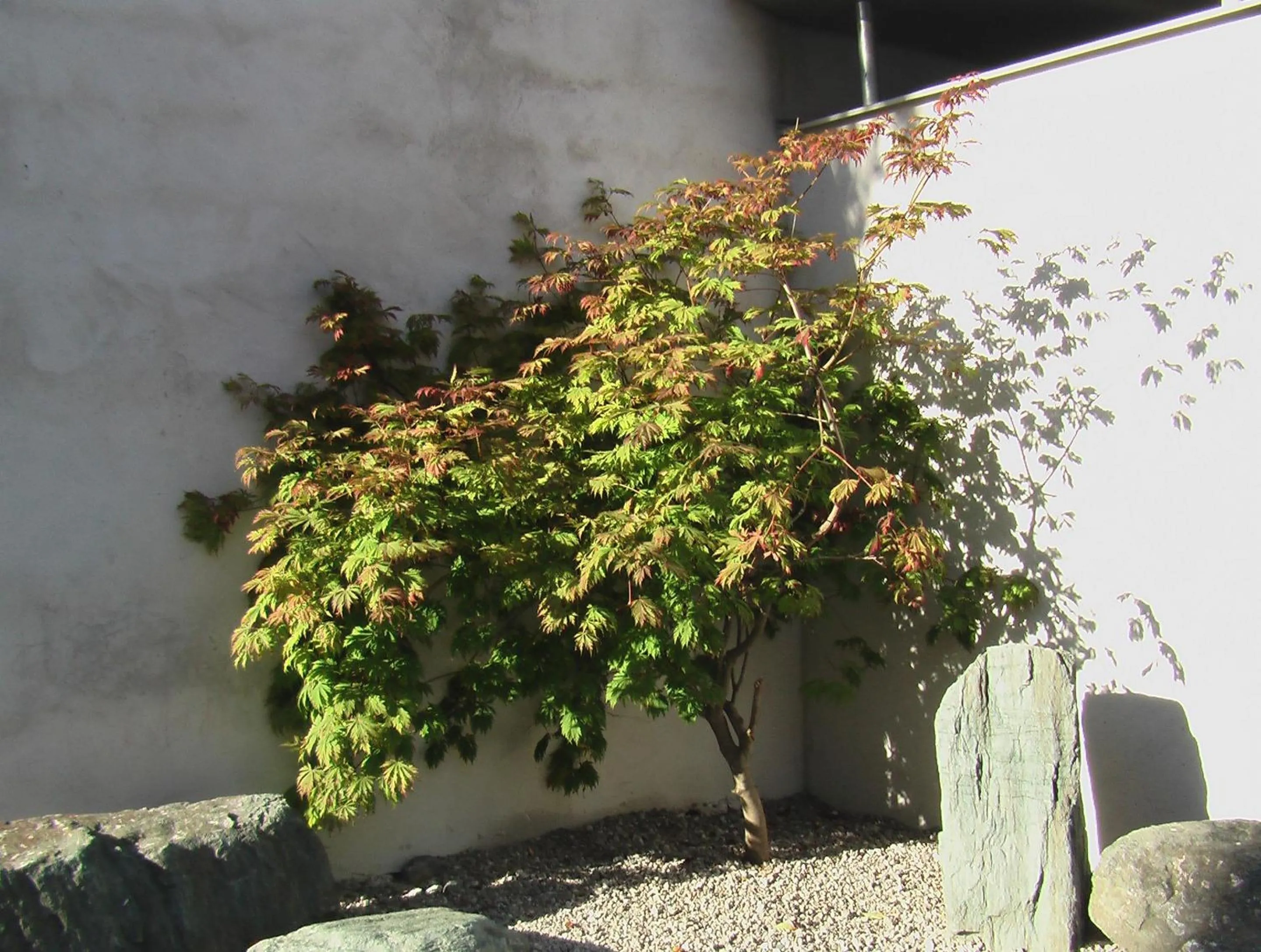 Patio in Bergland Hotel - Adults only