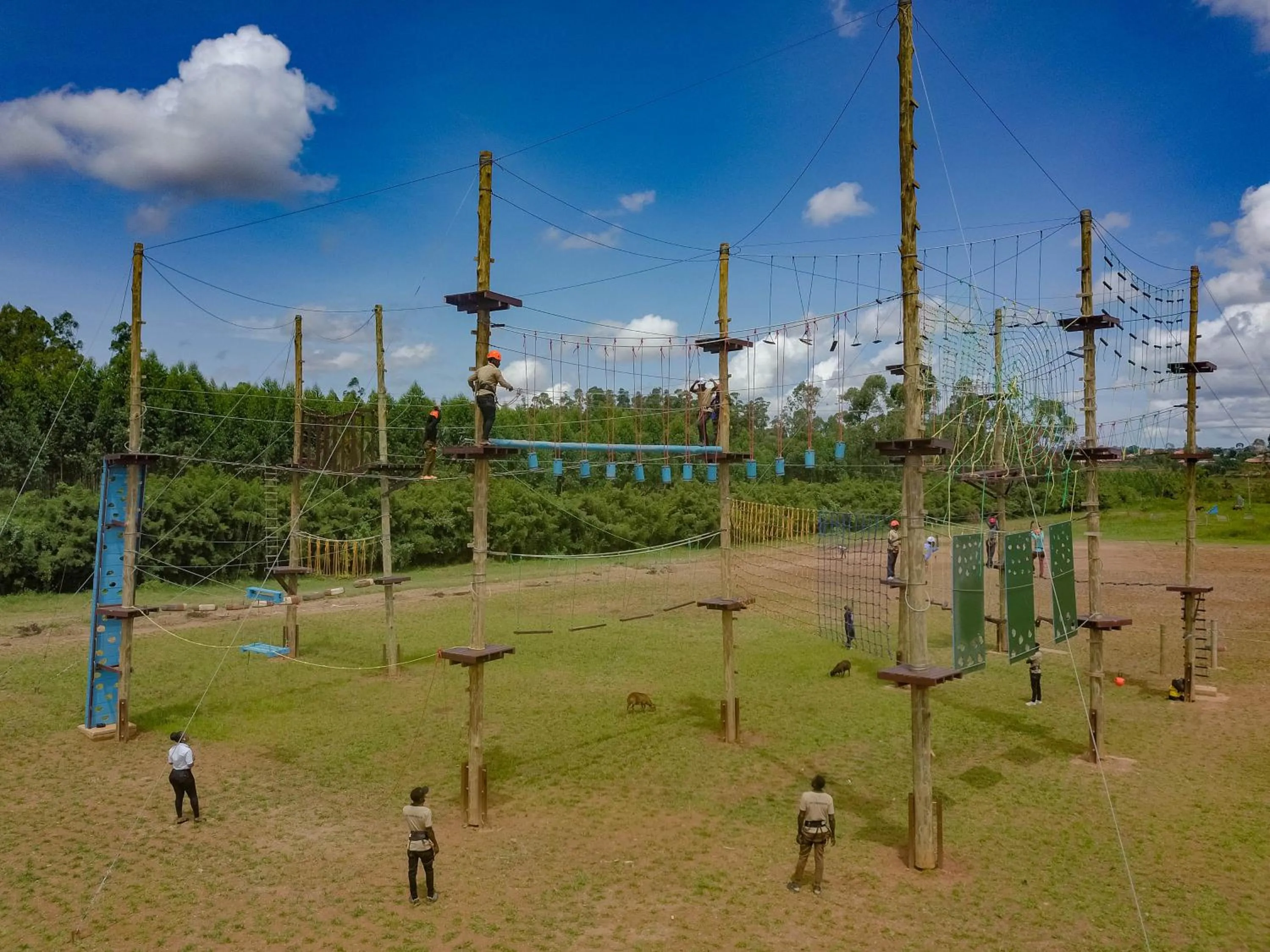 Children play ground in Forest Park Resort