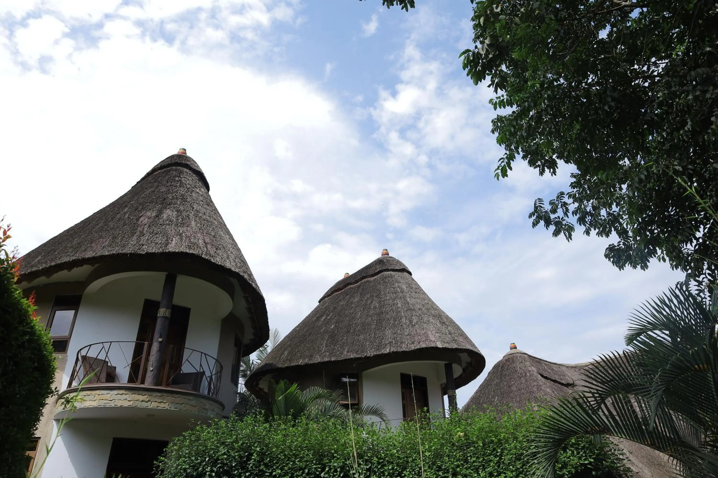 View (from property/room) in Forest Park Resort