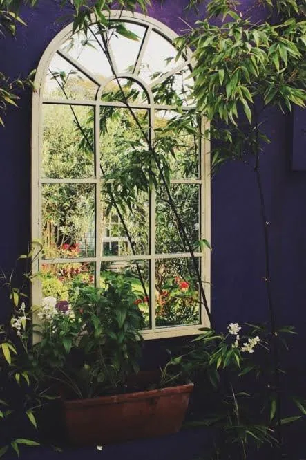 Garden in Glanmor Garden Apartment