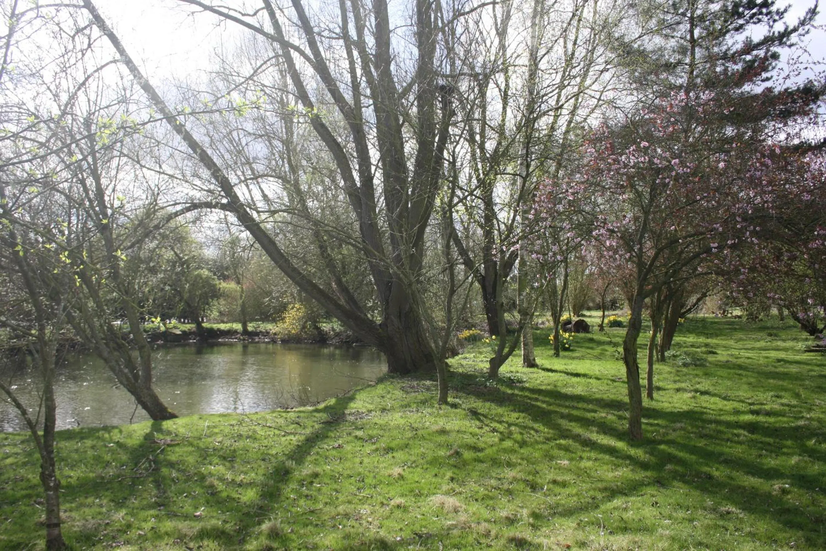 Garden in Crafts Hill Barn