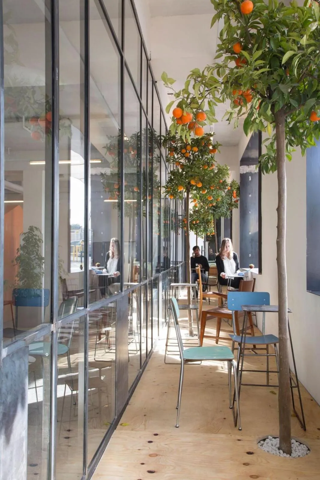 Patio in Bed & Boarding